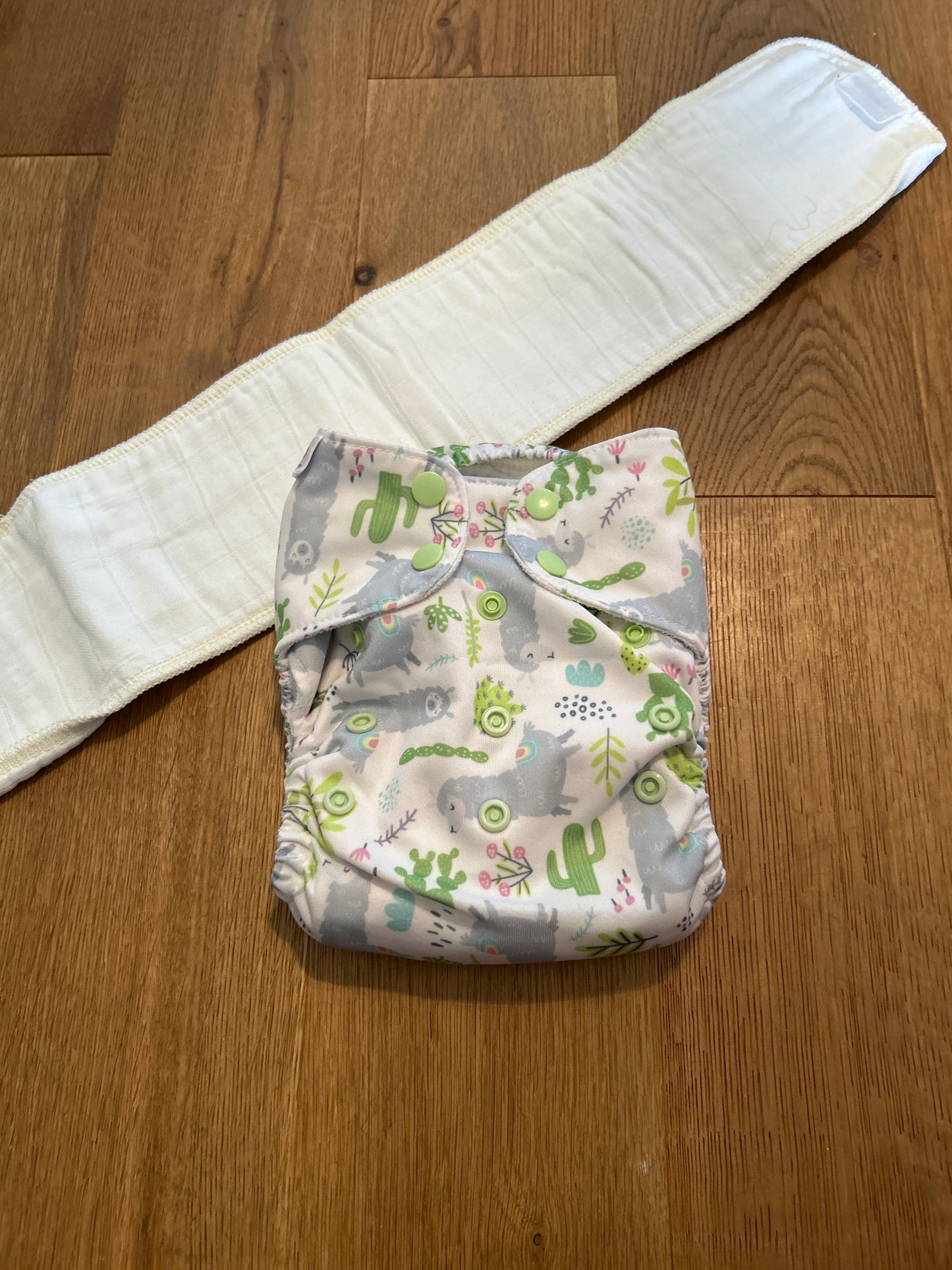 Blueberry - All In One with additional insert (096)