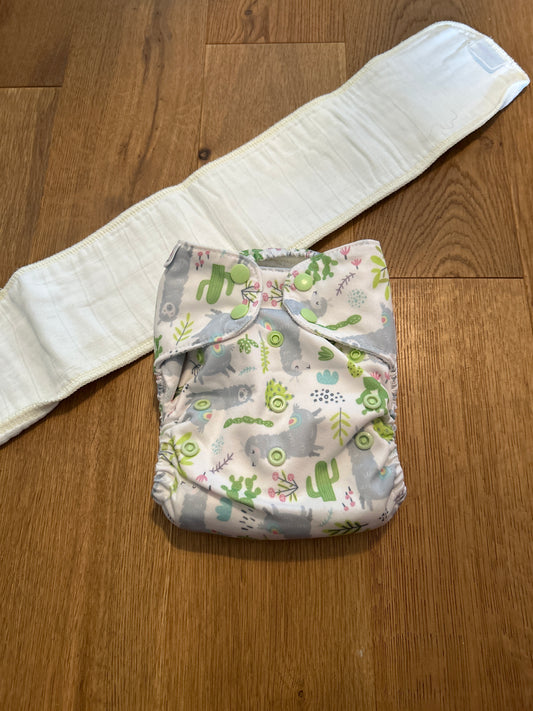 Blueberry - All In One with additional insert (096)