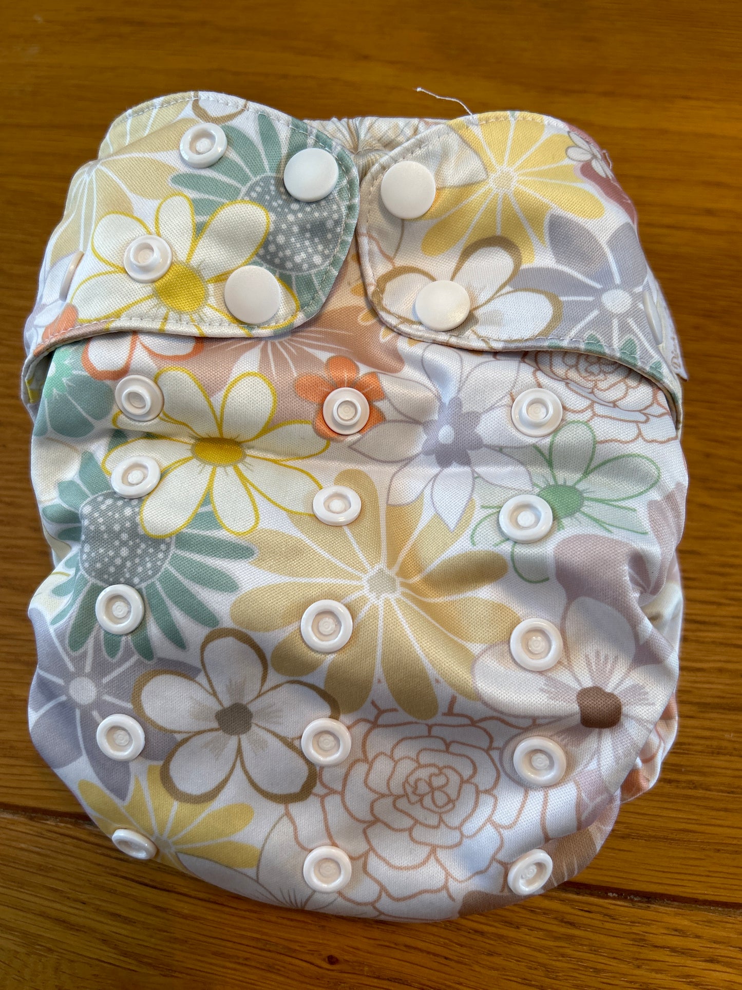 Dinky Dodo - Pocket/all in two Nappy (unbranded; 063)