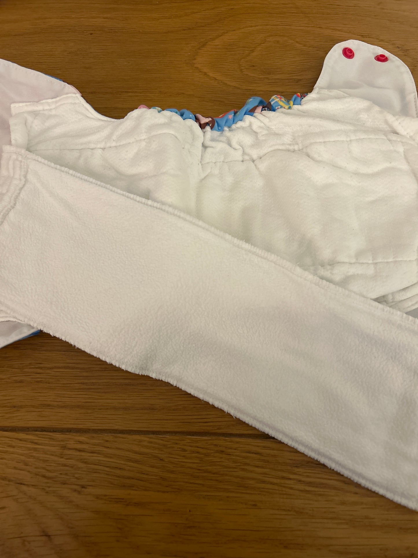 Blueberry - All In One Cinderella nappy (060)