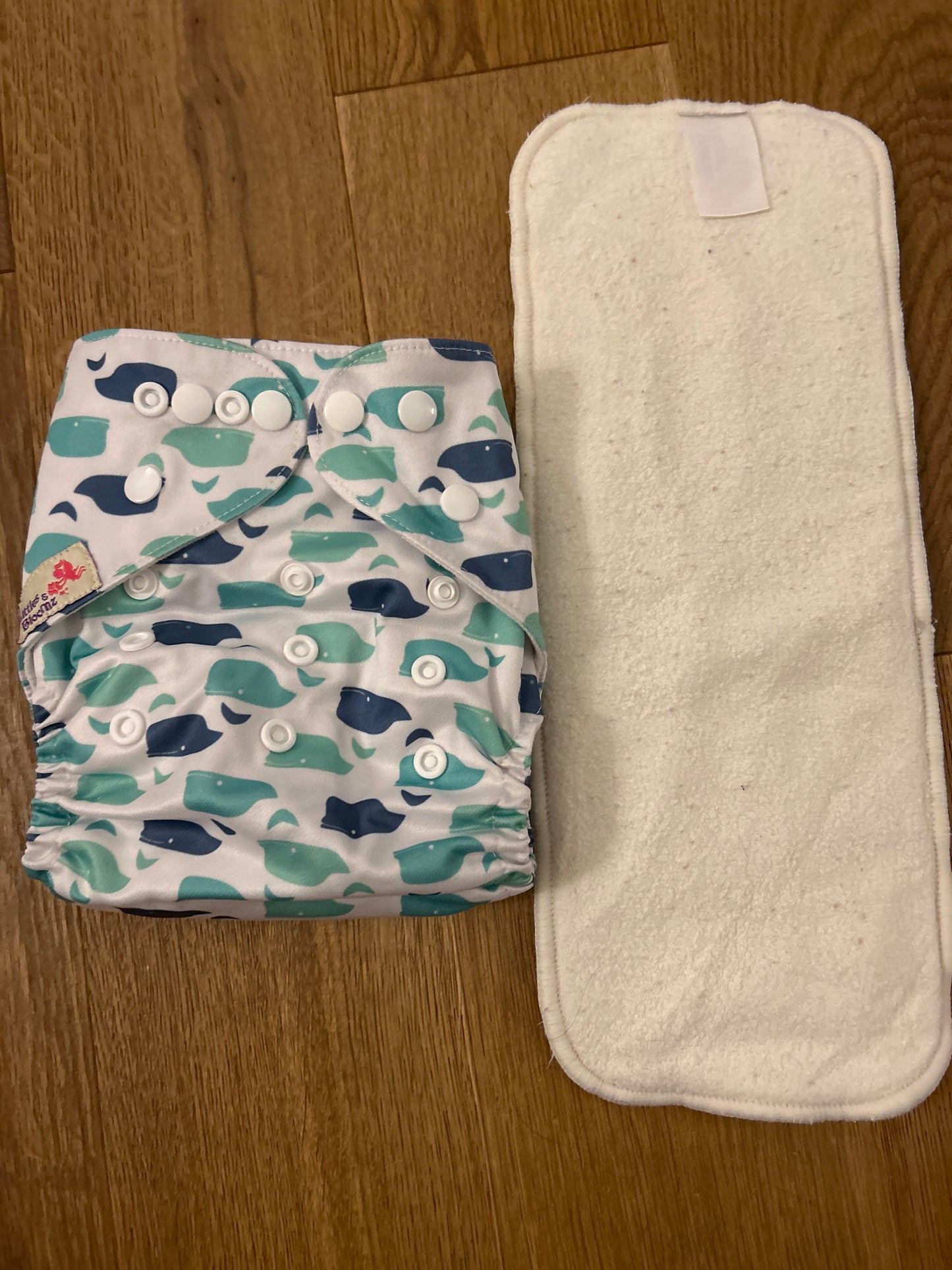 Littles and Bloomz pocket nappy (101)