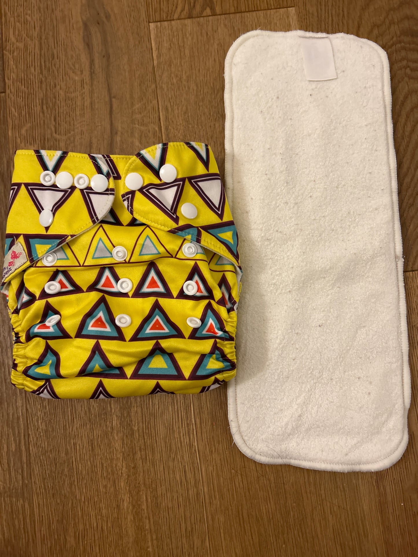 Littles and Bloomz pocket nappy (101)