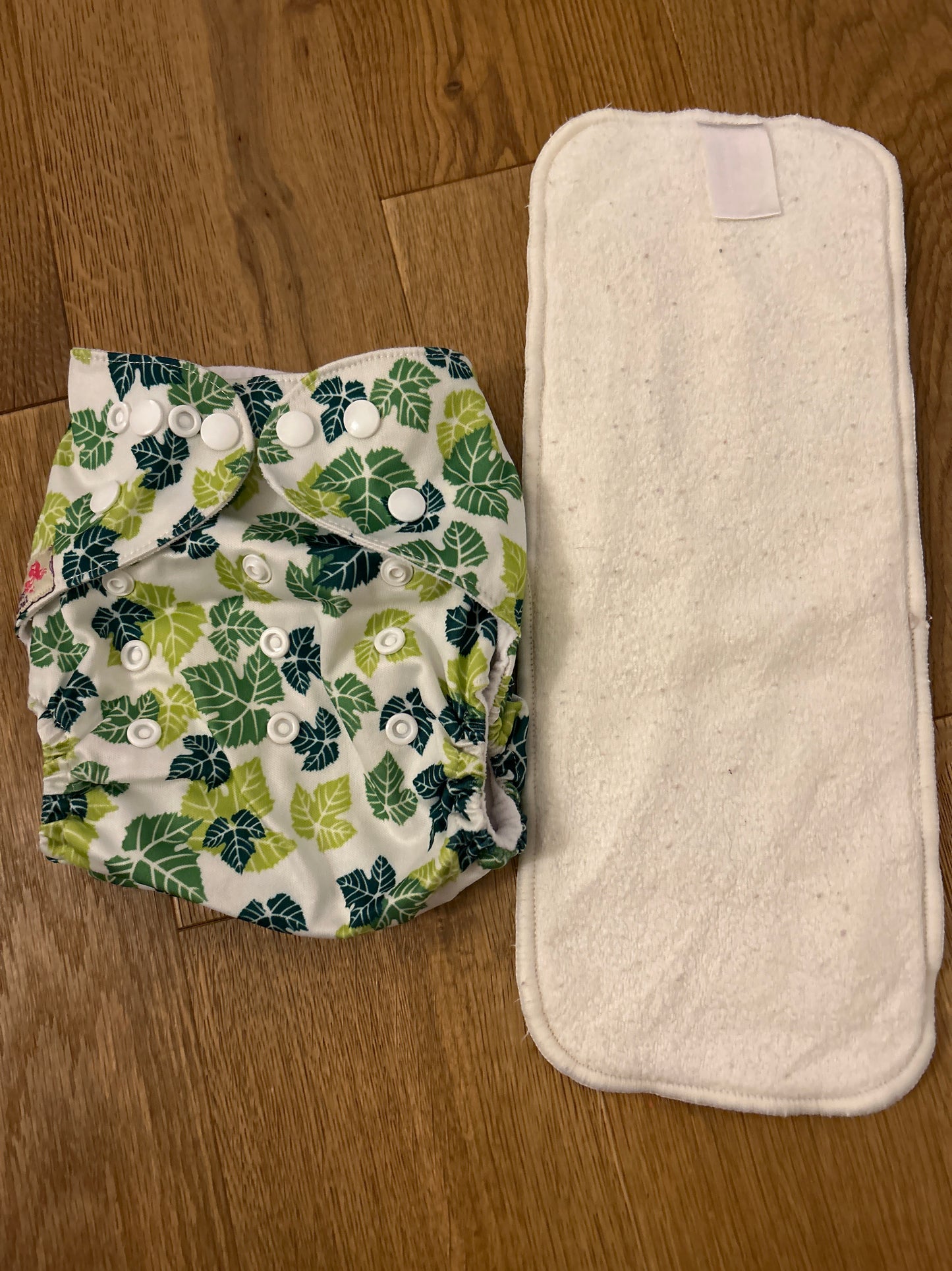 Littles and Bloomz pocket nappy (101)