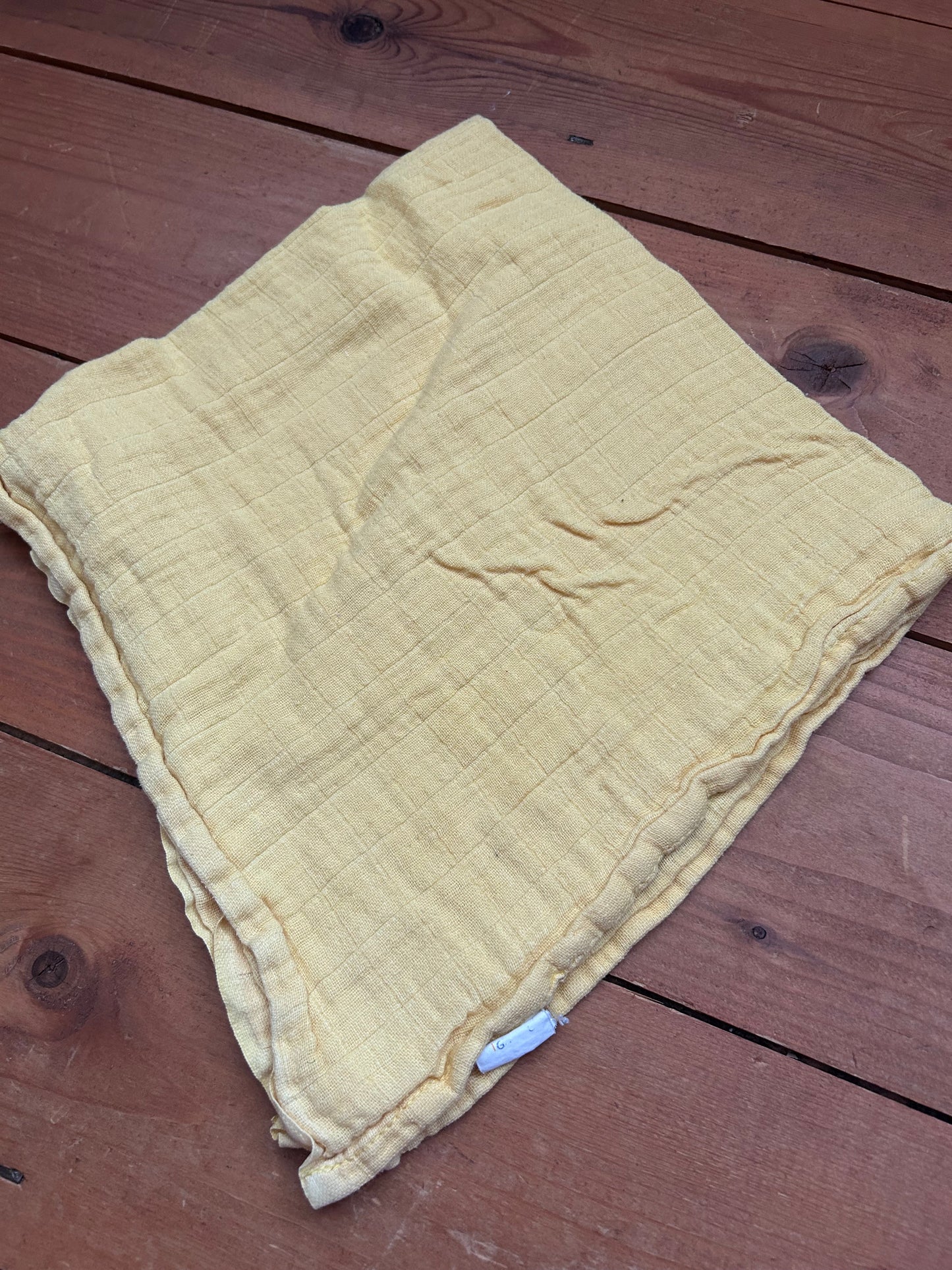 Bright Bots Flat nappy (unknown; flats and prefolds; 093)
