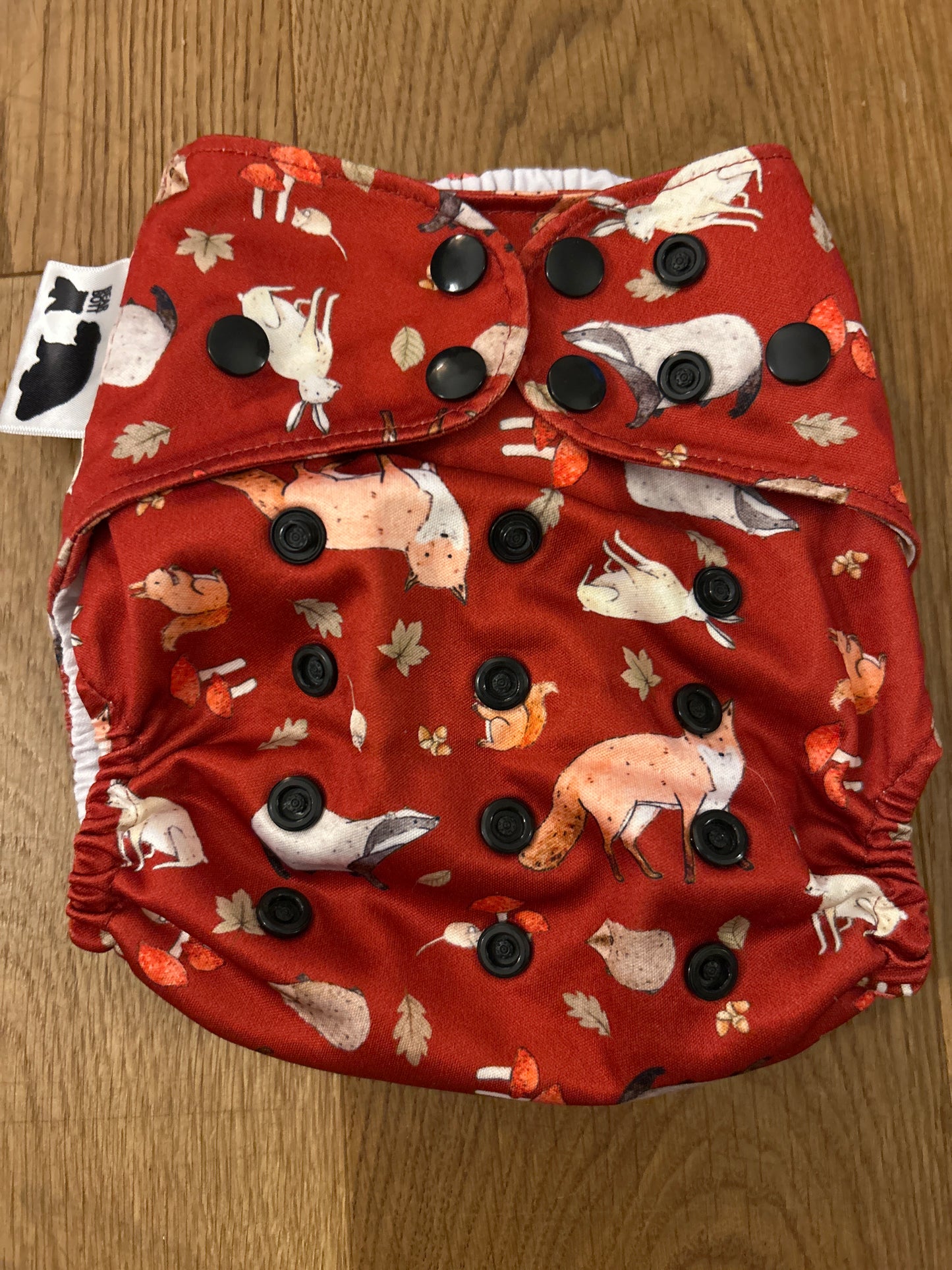 Bear Bott all in two nappy (100)