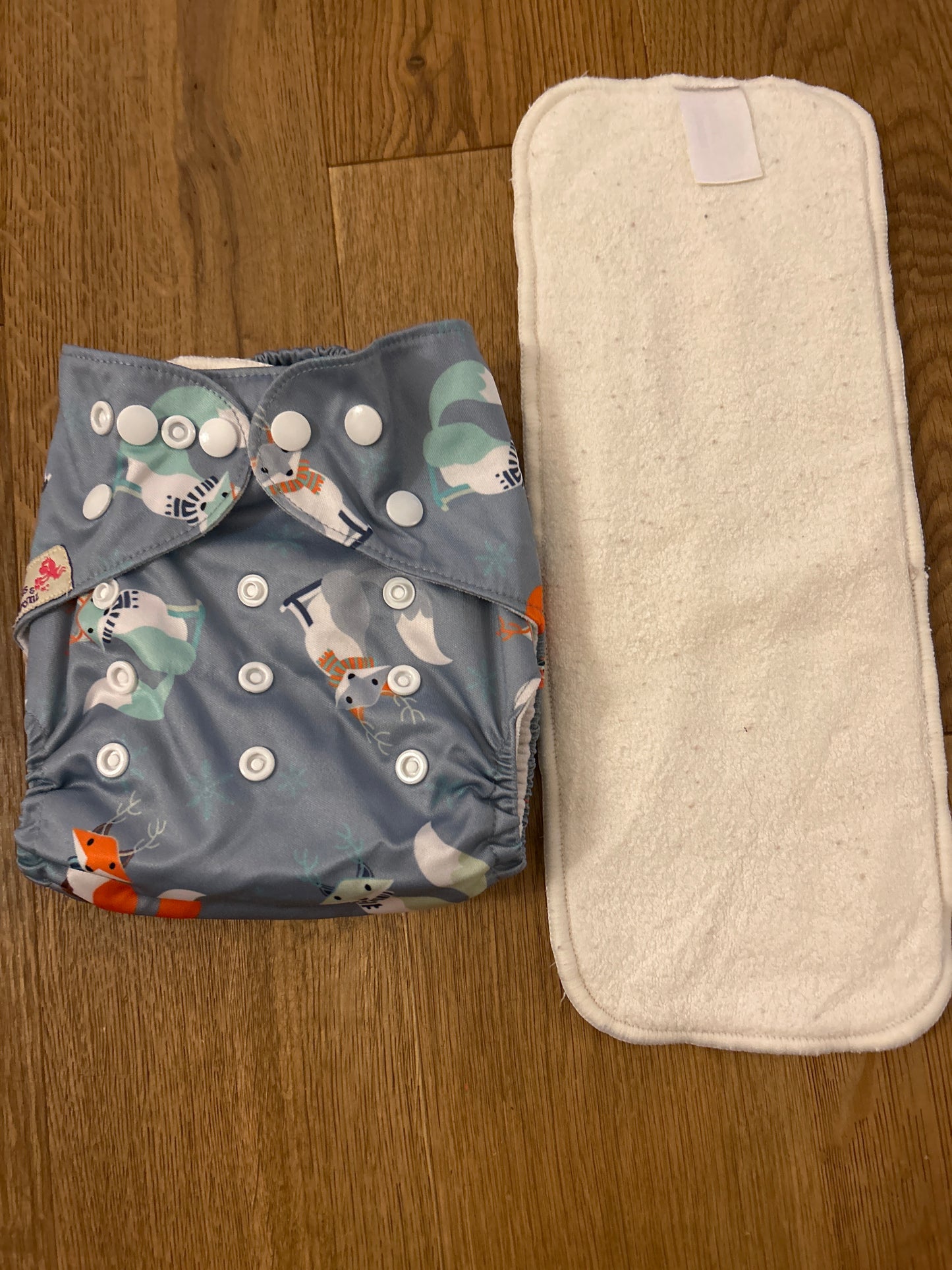 Littles and Bloomz pocket nappy (101)