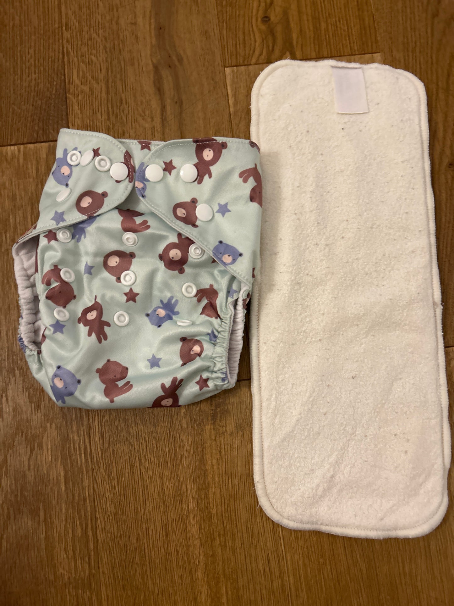 Littles and Bloomz pocket nappy (101)