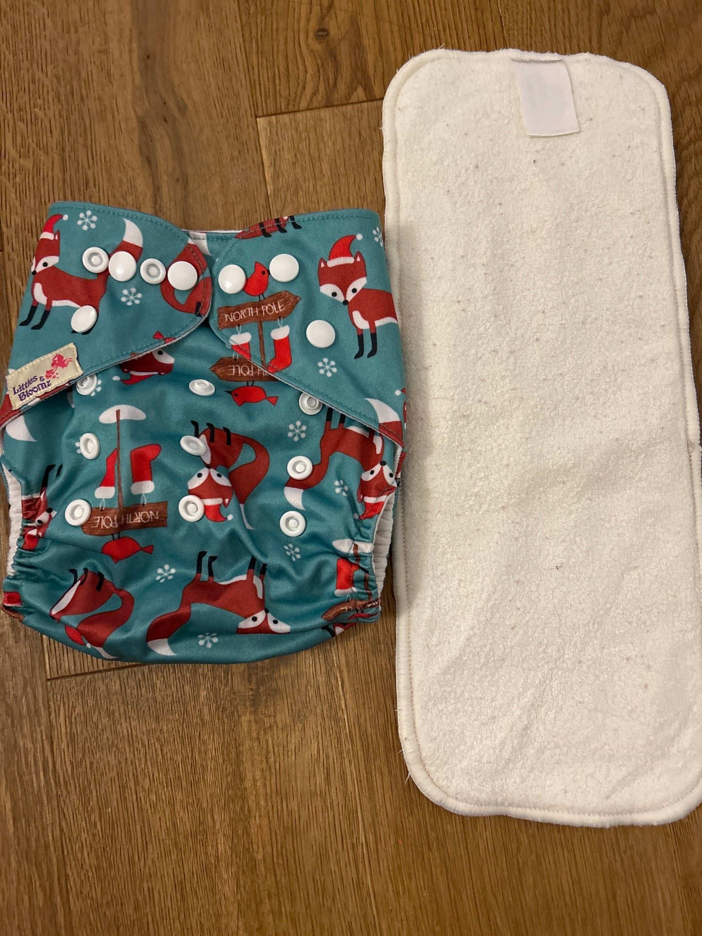 Littles and Bloomz pocket nappy (101)