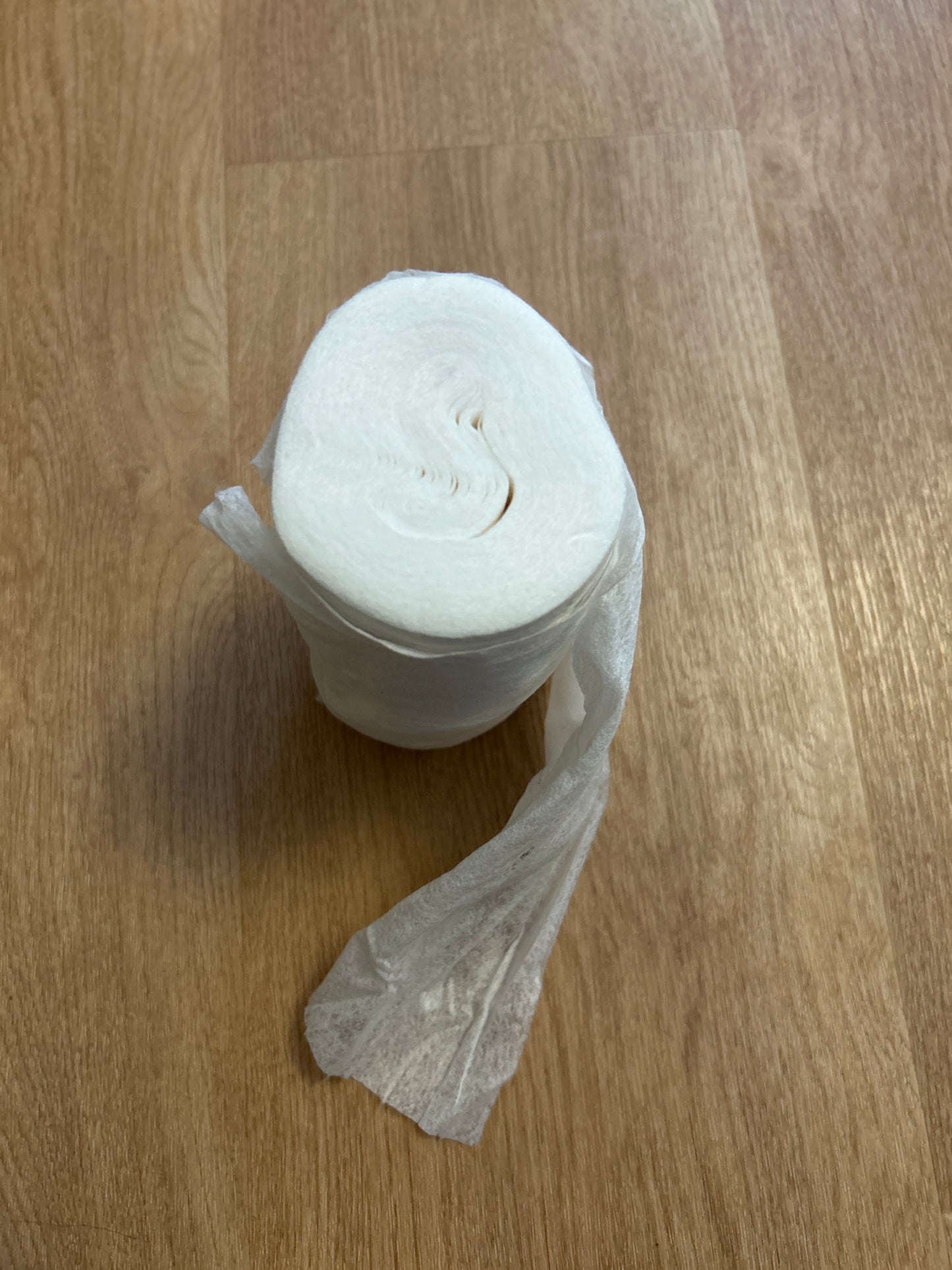 Disposable liner roll (099)