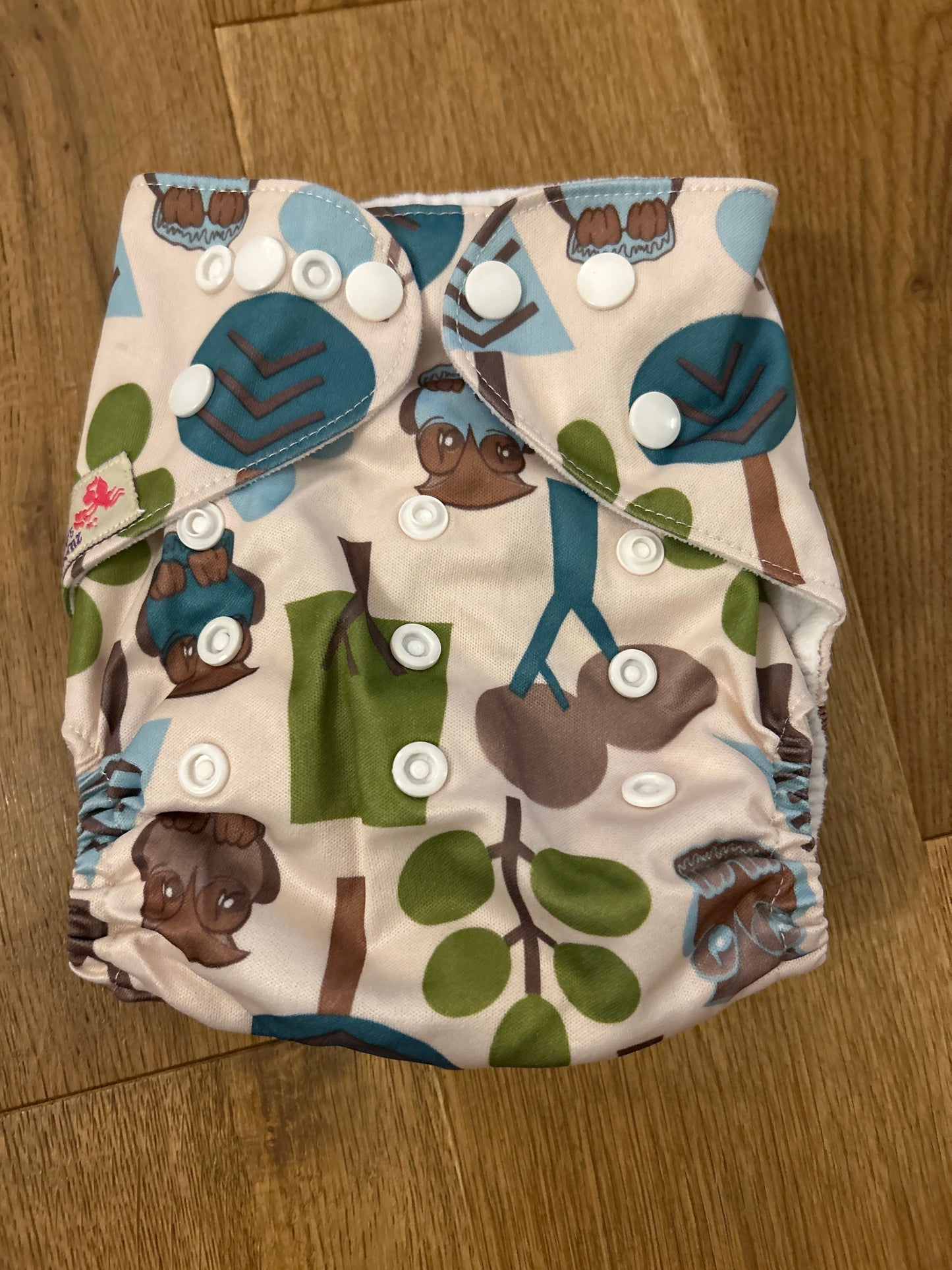 Littles and Bloomz pocket nappy (101)