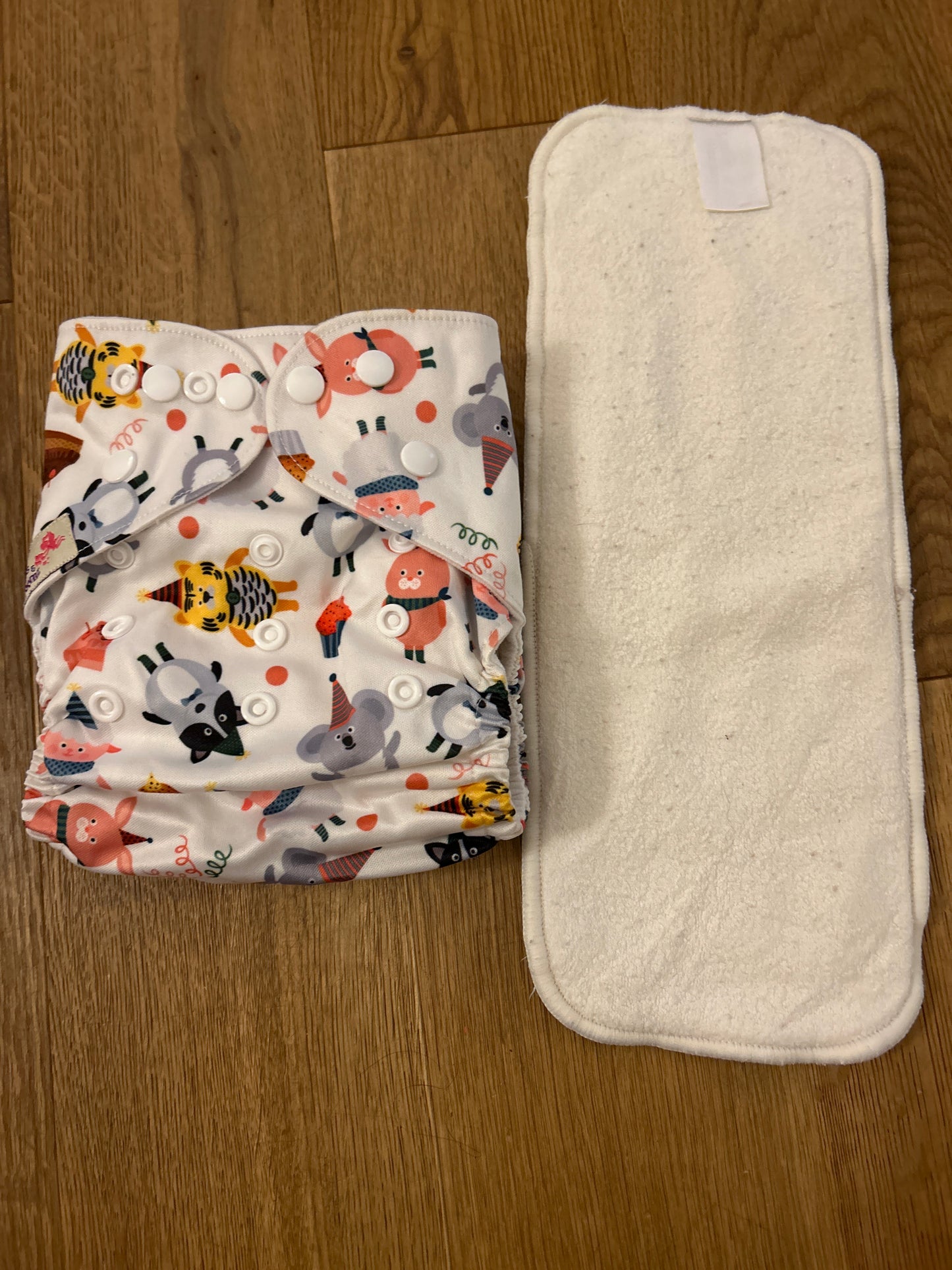 Littles and Bloomz pocket nappy (101)