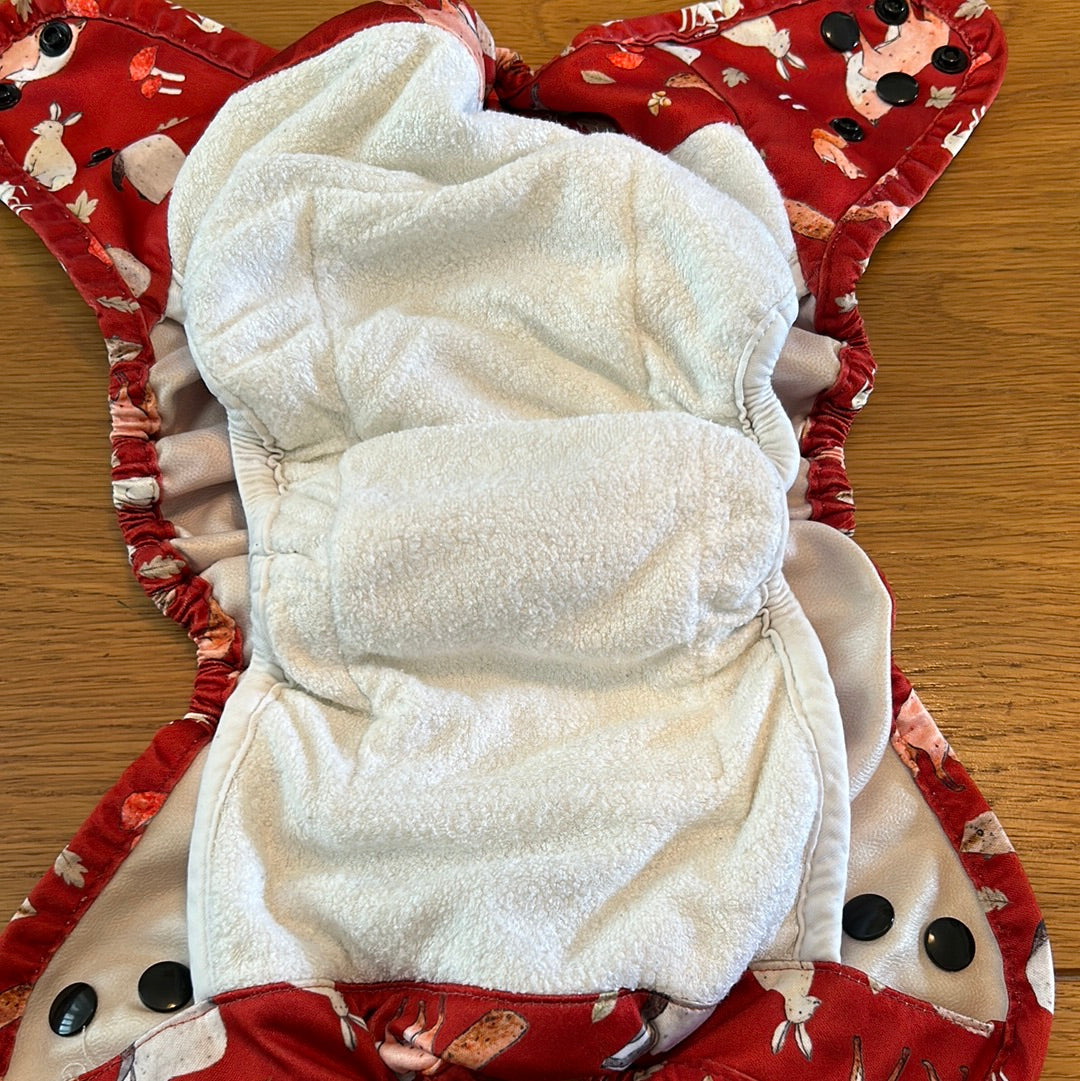 Bear Bott - All In One nappy bamboo (003)