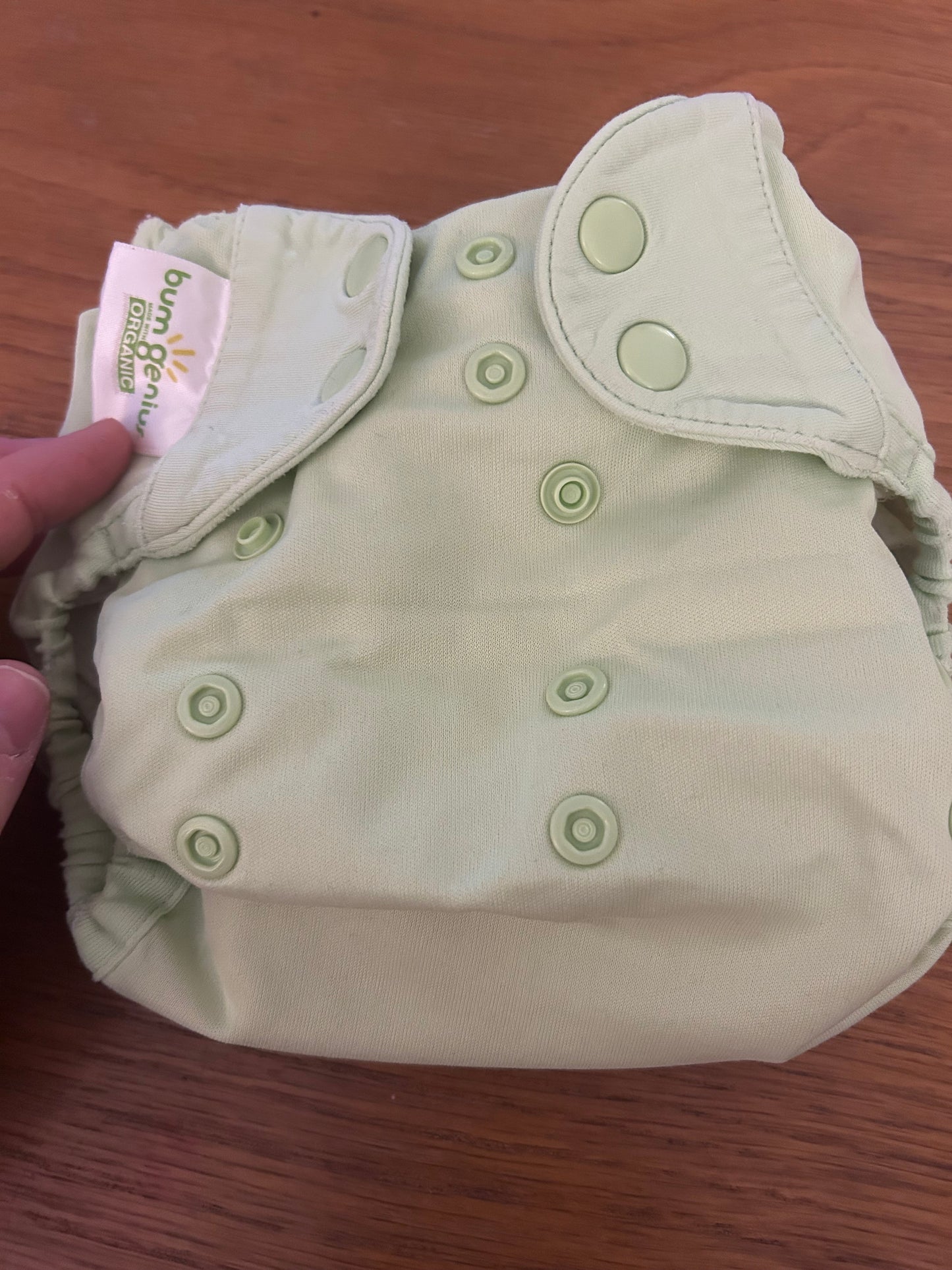 BumGenius- all in one Nappy (003)
