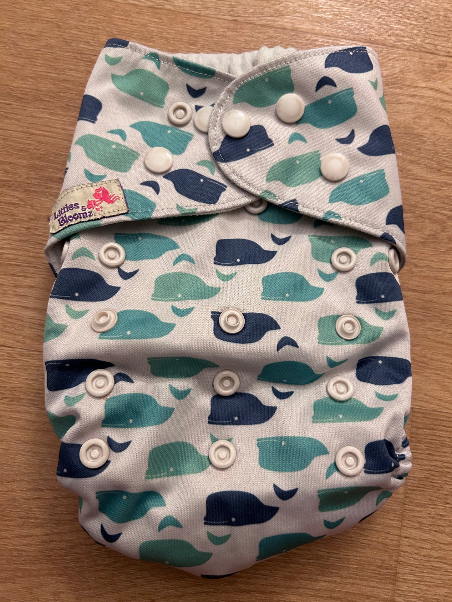 Littles & Bloomz Pocket nappy (078)
