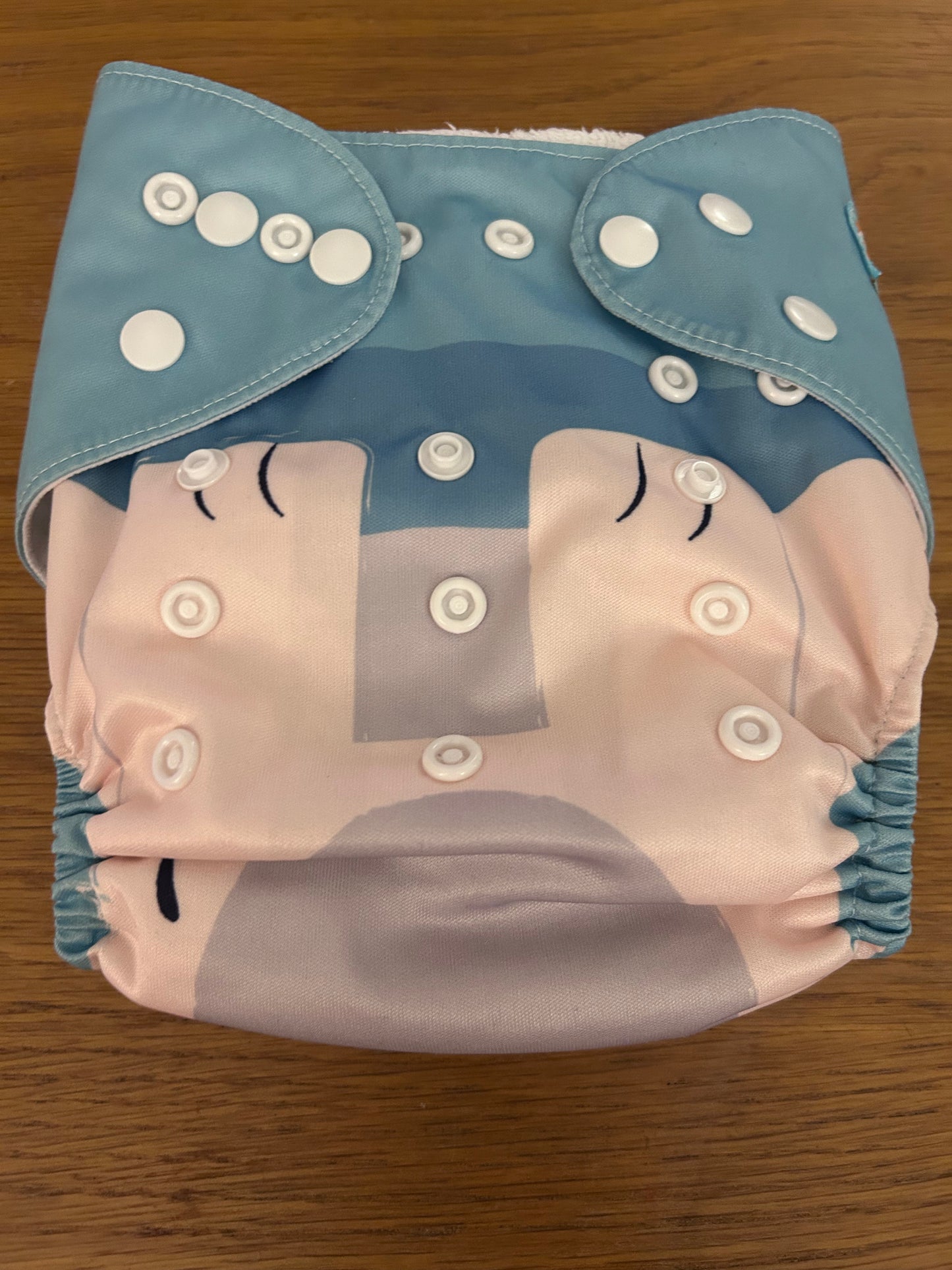 Alva baby pocket nappy with 2 inserts (003)