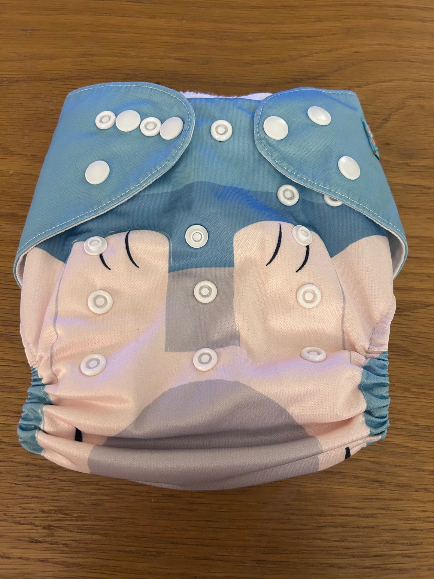 Alva baby pocket nappy with 2 inserts (003)