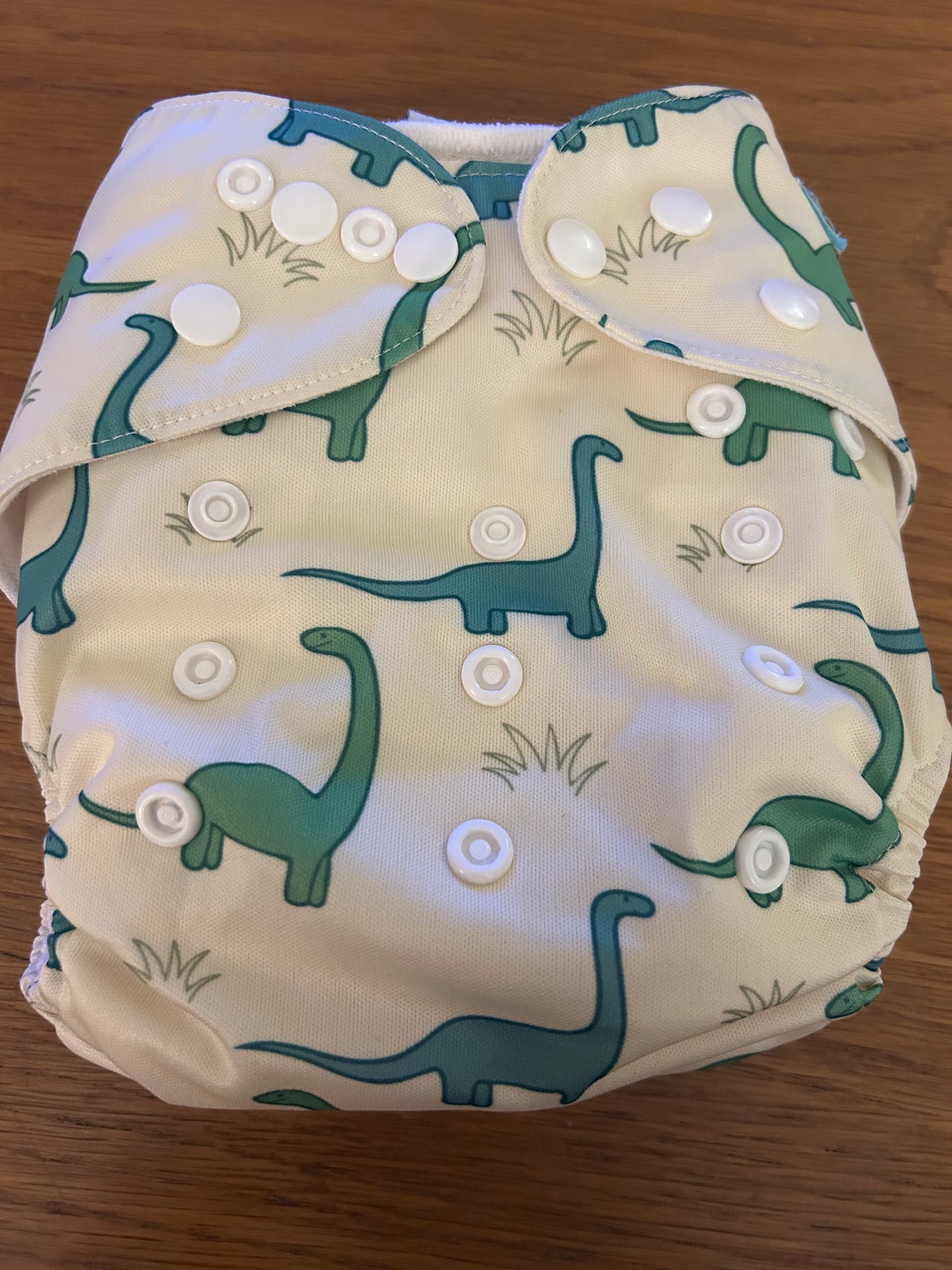 Alva baby pocket nappy with 2 inserts (003)