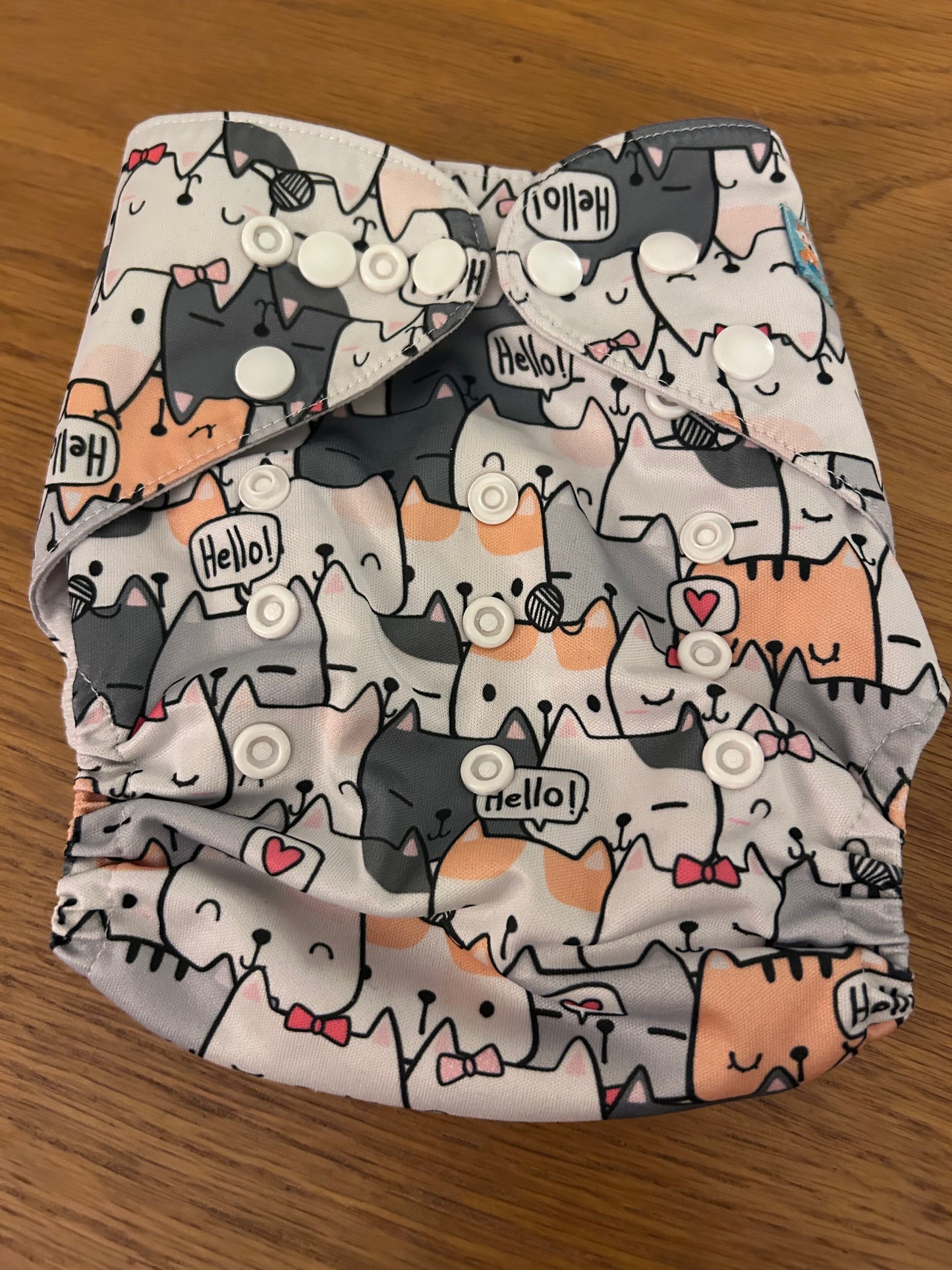 Littles and Bloomz pocket nappy (090)