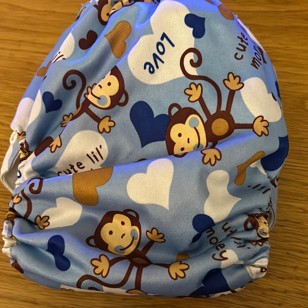 Littles and Bloomz Pocket nappy (042)