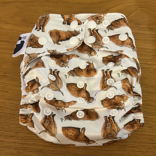 Bear Bott pocket nappy (055)