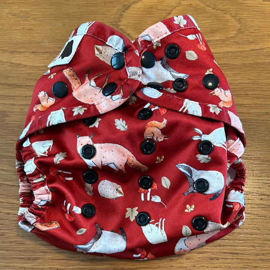 Bear Bott - All In One nappy bamboo (073)