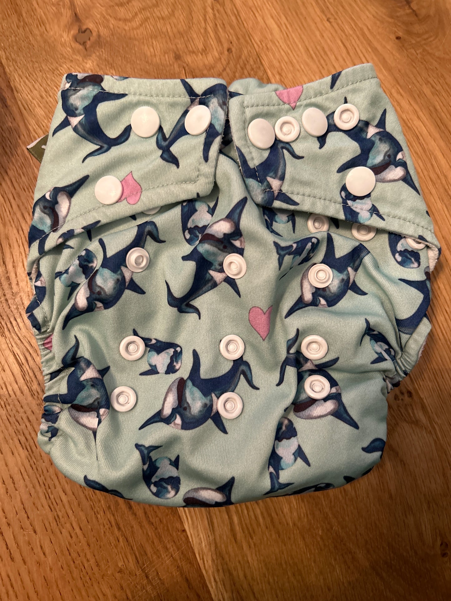 Little Lamb birth to potty one size pocket nappy (063)