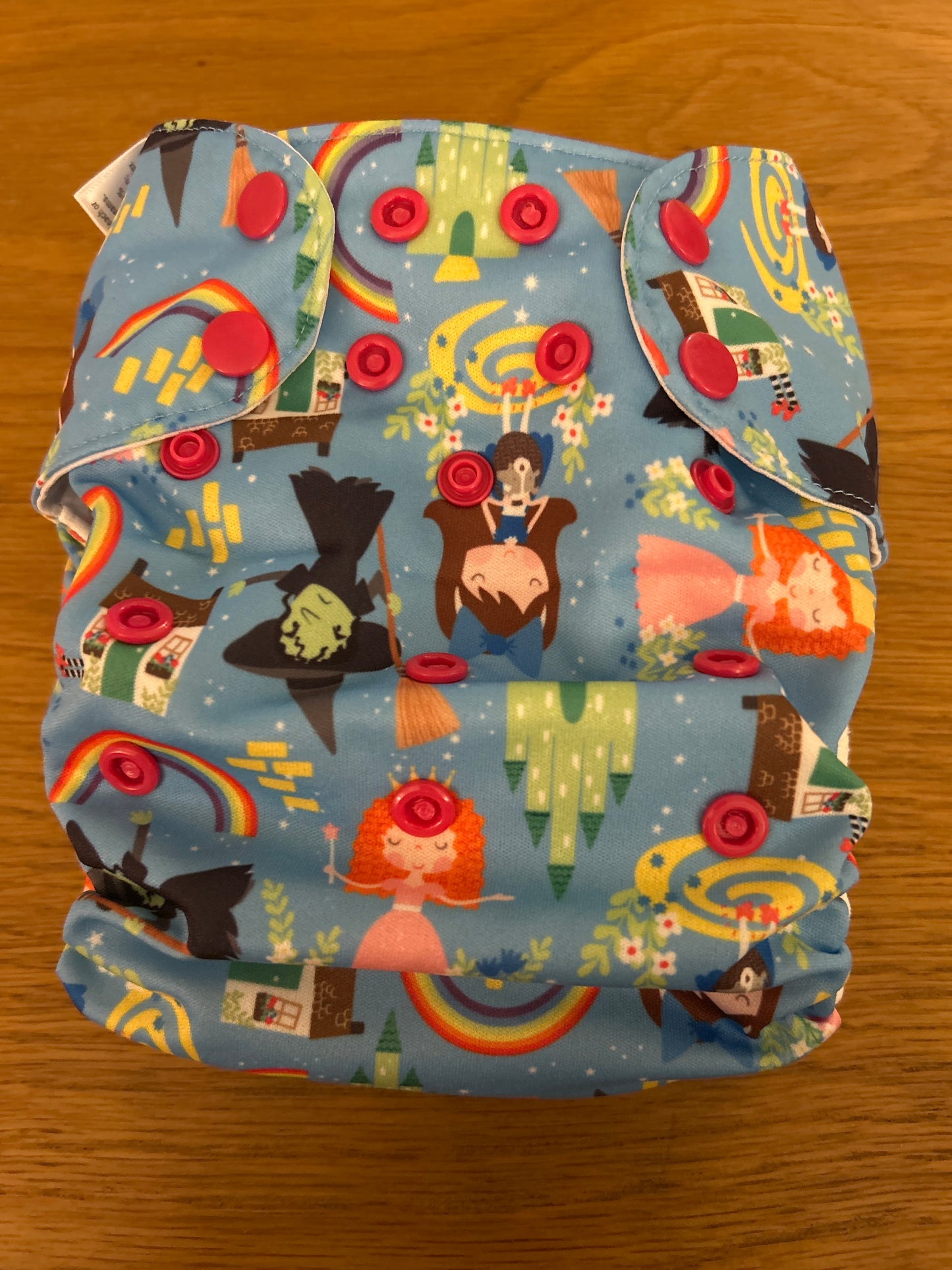 Blueberry - All In One Cinderella nappy (060)