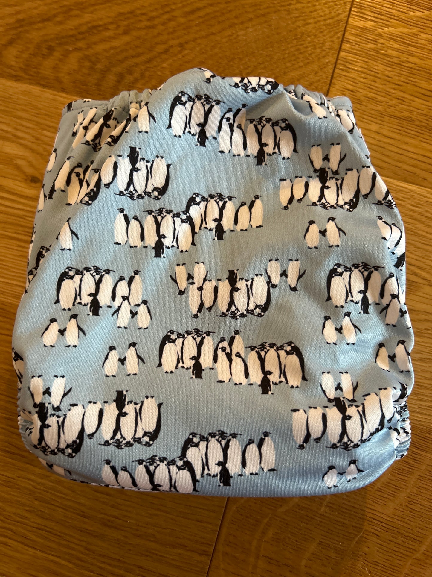 Baba and Boo penguin print pocket nappy with inserts (056)