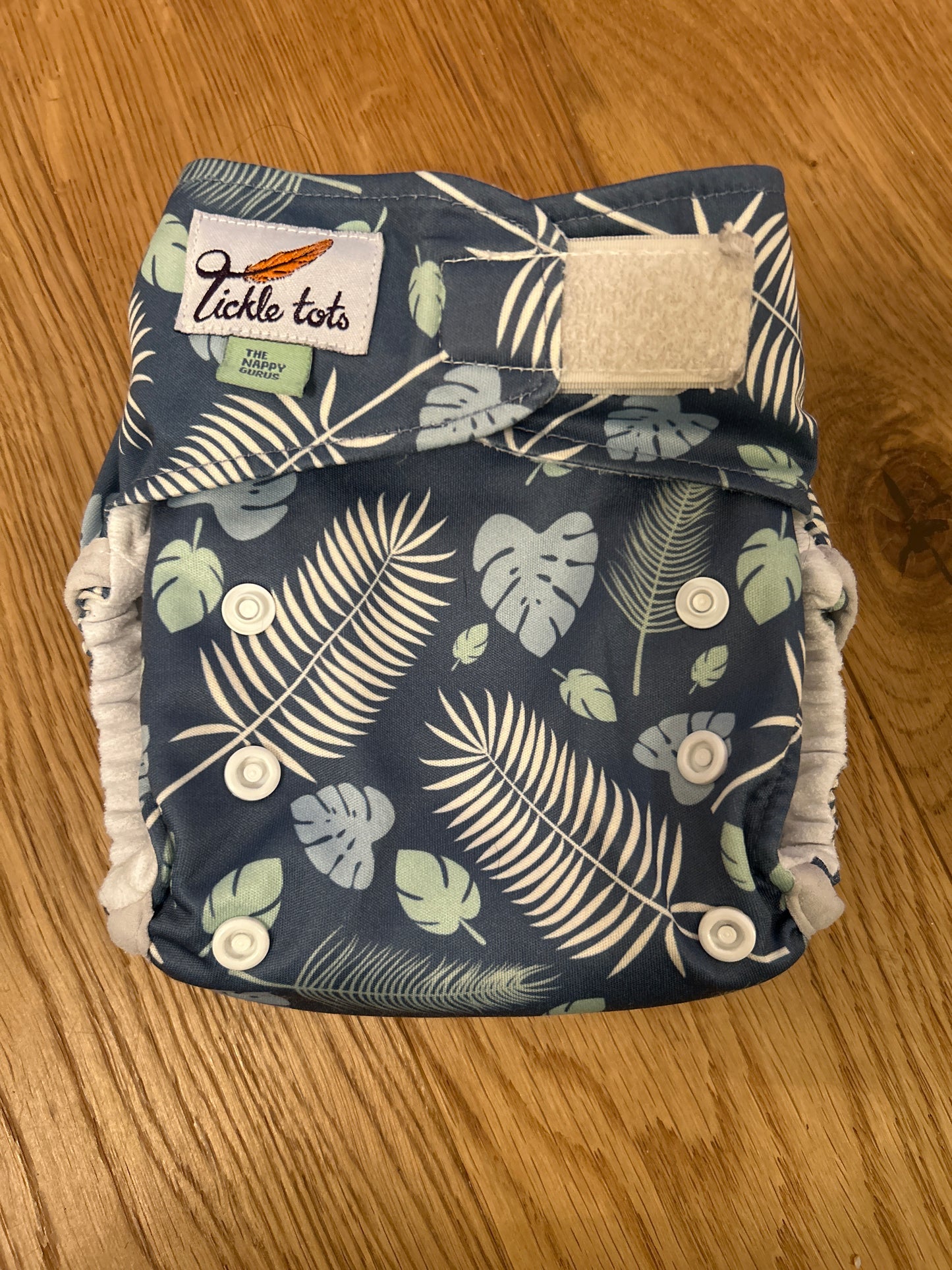 Tickle Tots all in one nappy (084)