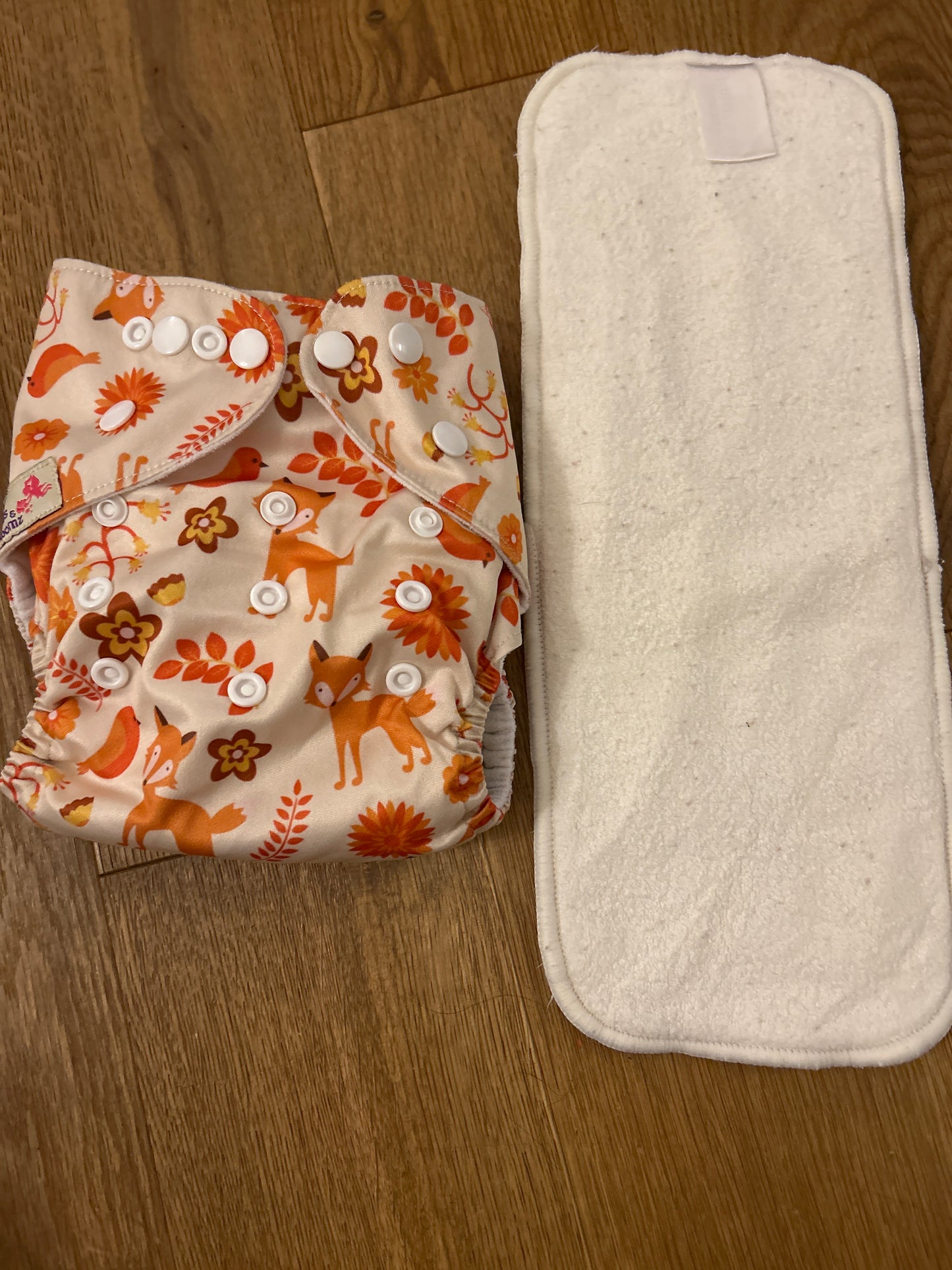 Littles and Bloomz pocket nappy (101)