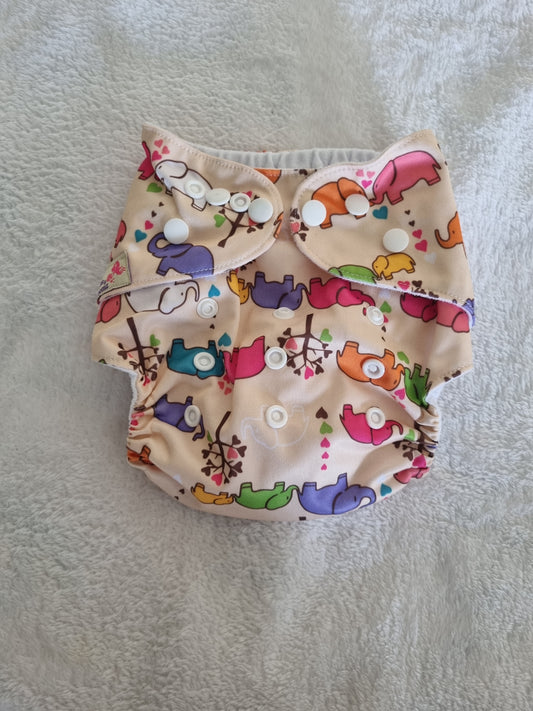 Littles Bloom - Pocket Nappy