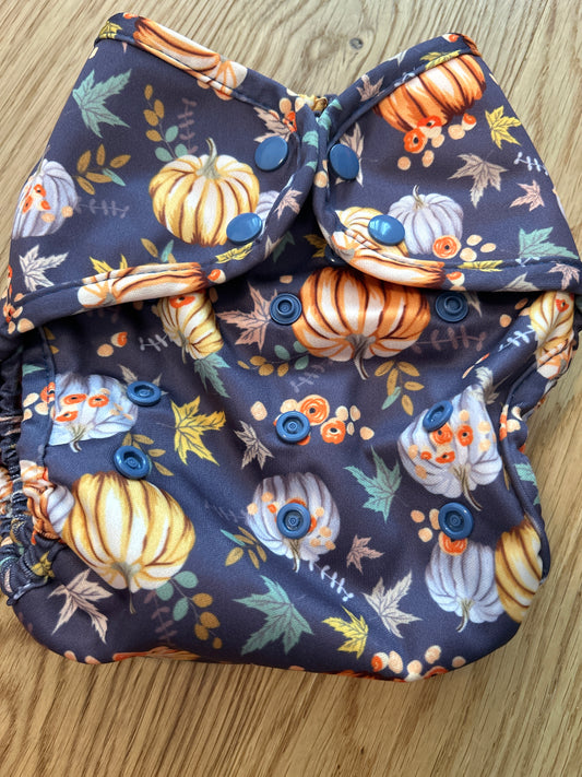 Buttons Diapers pumpkin theme all in two nappy (060)