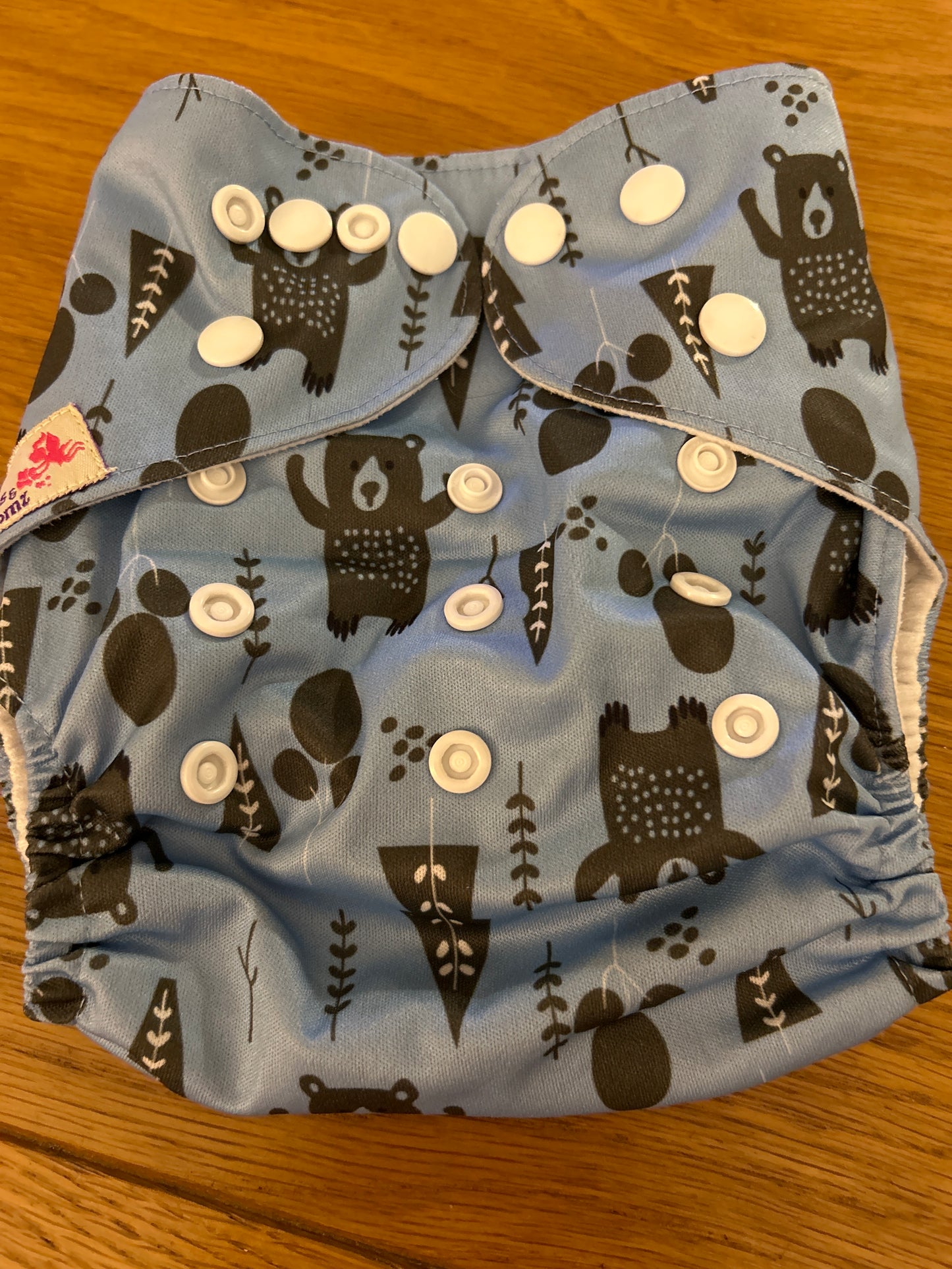 Littles and Bloomz Pocket nappy (067)