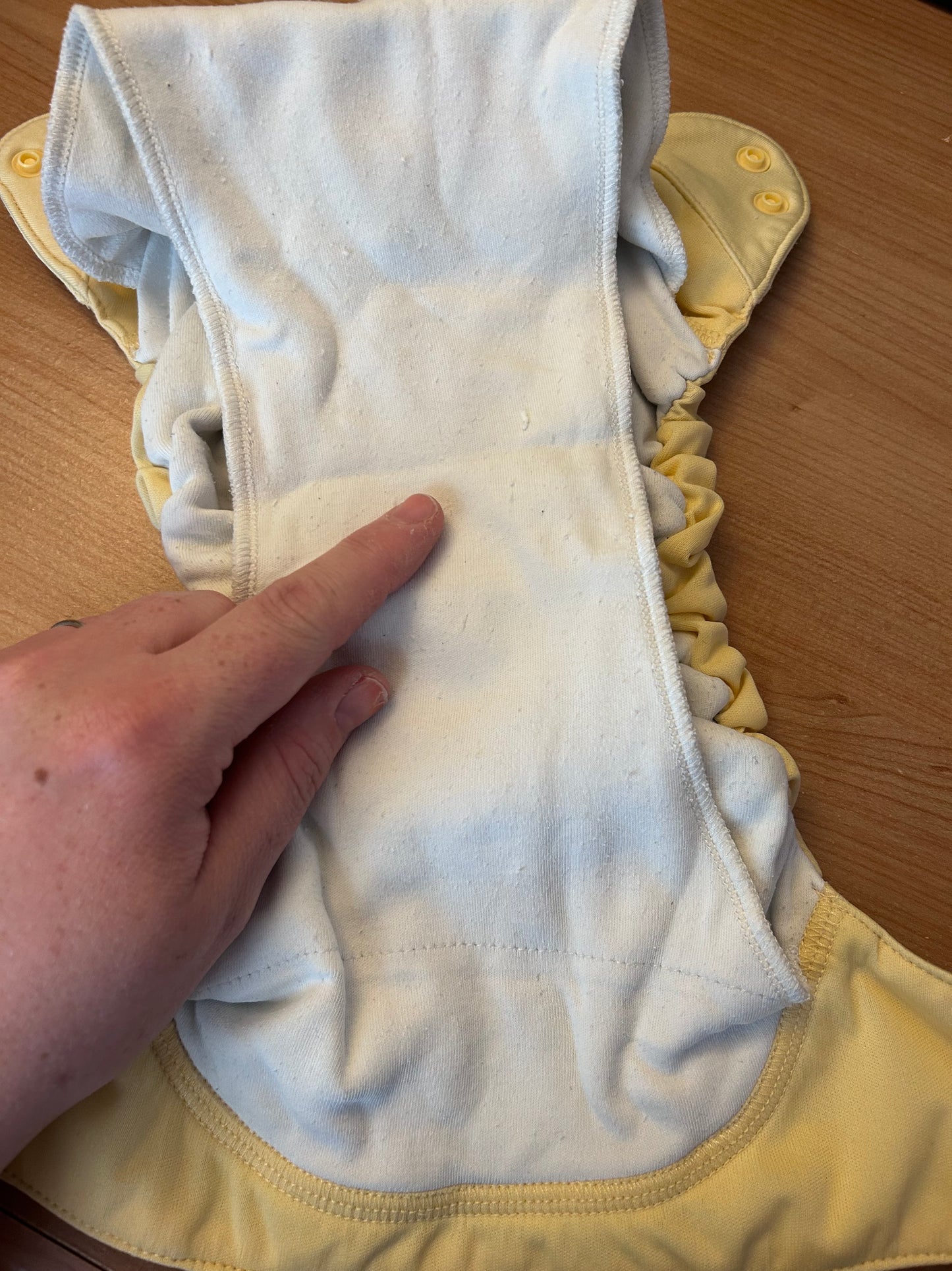 BumGenius- all in one Nappy (003)
