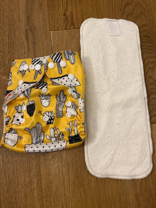 Littles and Bloomz pocket nappy (101)