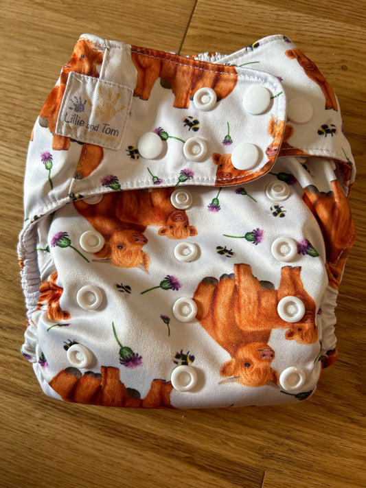 Lillie and Tom cloth pocket nappy (063; unbranded)