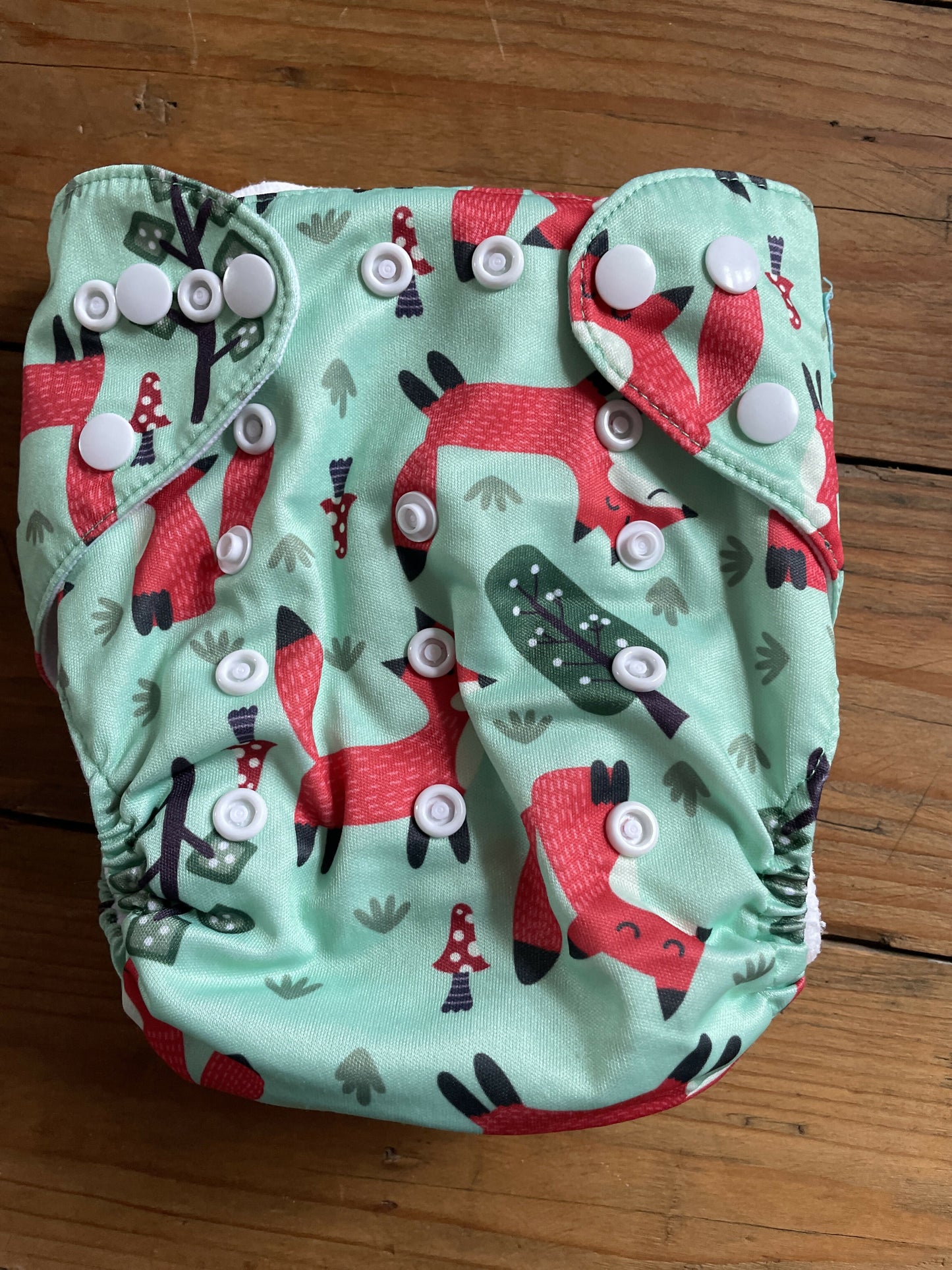 Alva baby pocket nappy with 2 insert