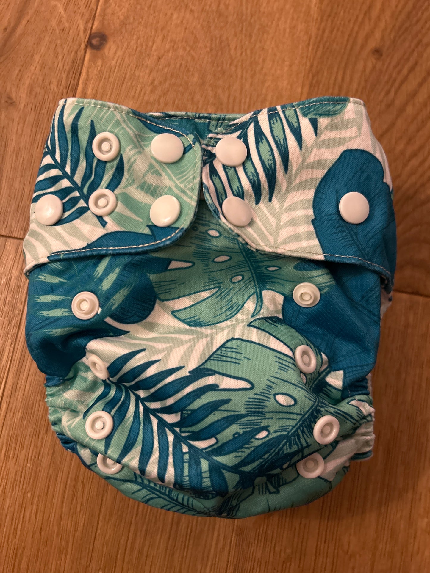 Econaps pocket nappy (098)