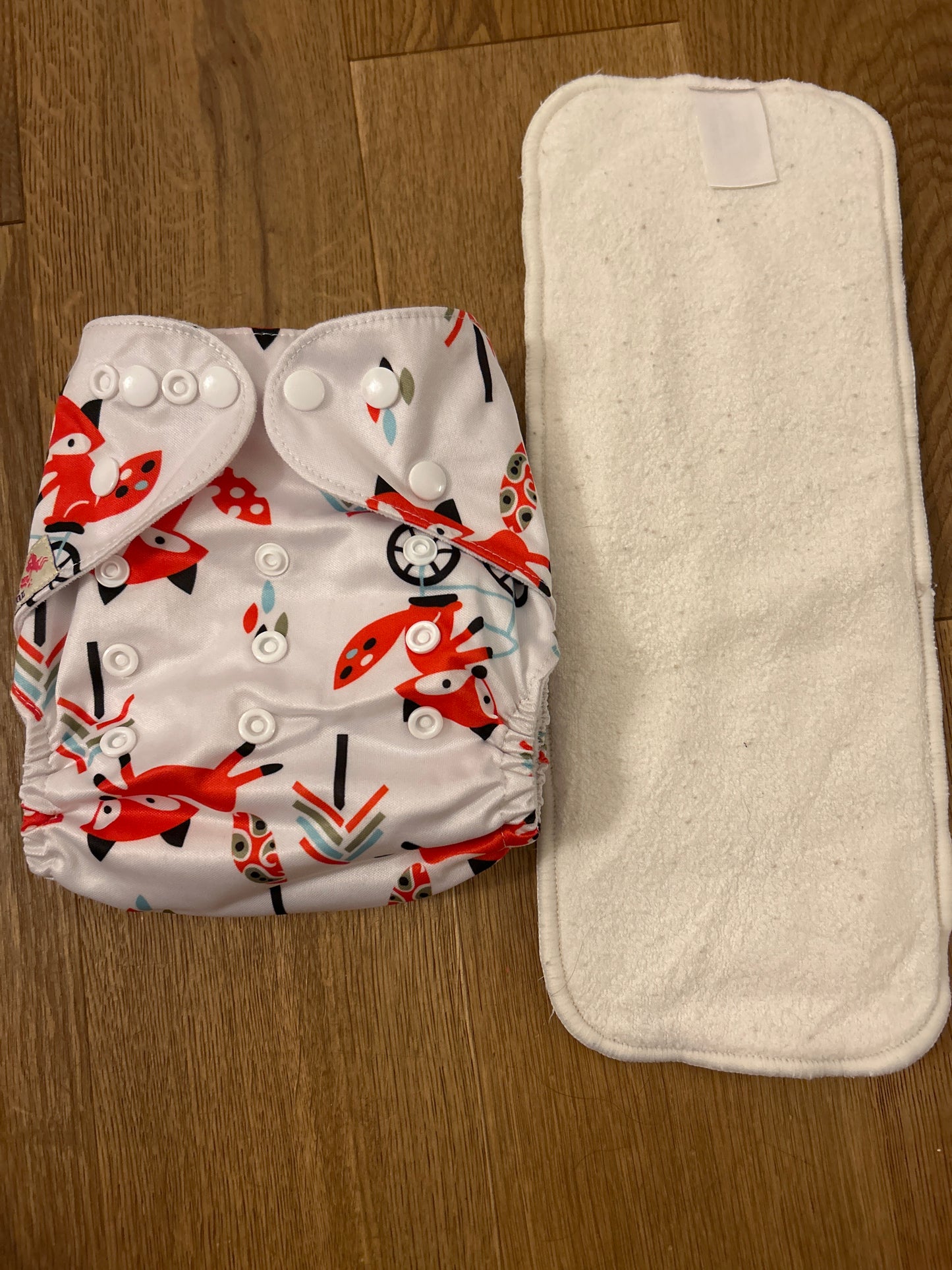 Littles and Bloomz pocket nappy (101)