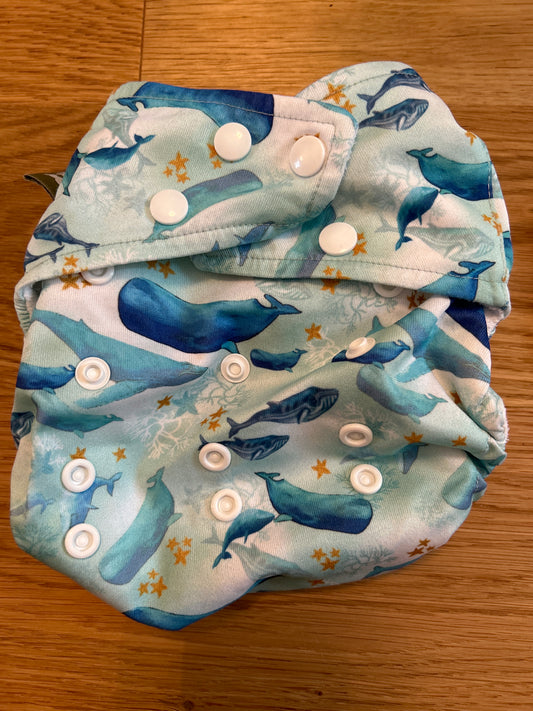 Little Lamb pocket nappy one size (003)