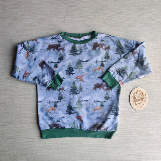 Age 6 French Terry sweater EUC. Fox & Bobbin Preloved cloth friendly clothing