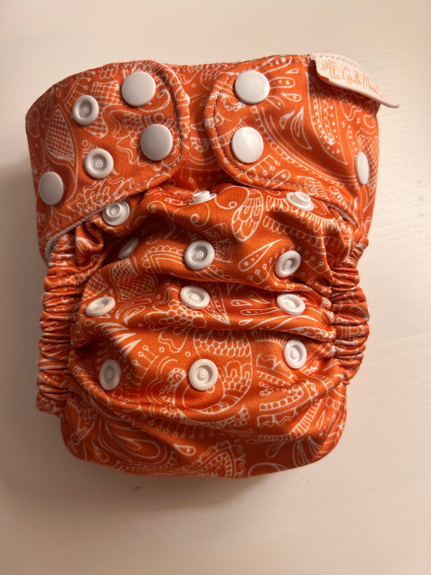 The Gentle Mama Co nappy and booster, like new - small/newborn (003; unbranded)