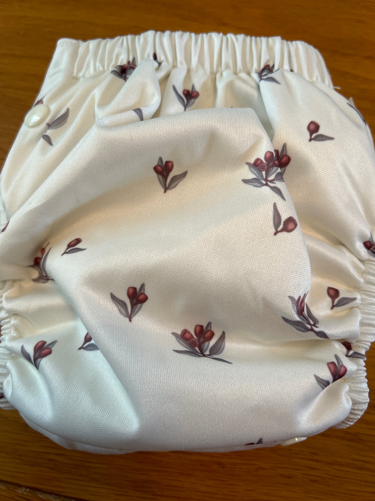 Cloth club all in two nappy and booster, brand new 059; unbranded)