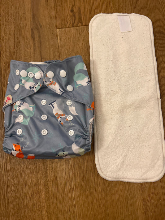 Littles and Bloomz pocket nappy (101)