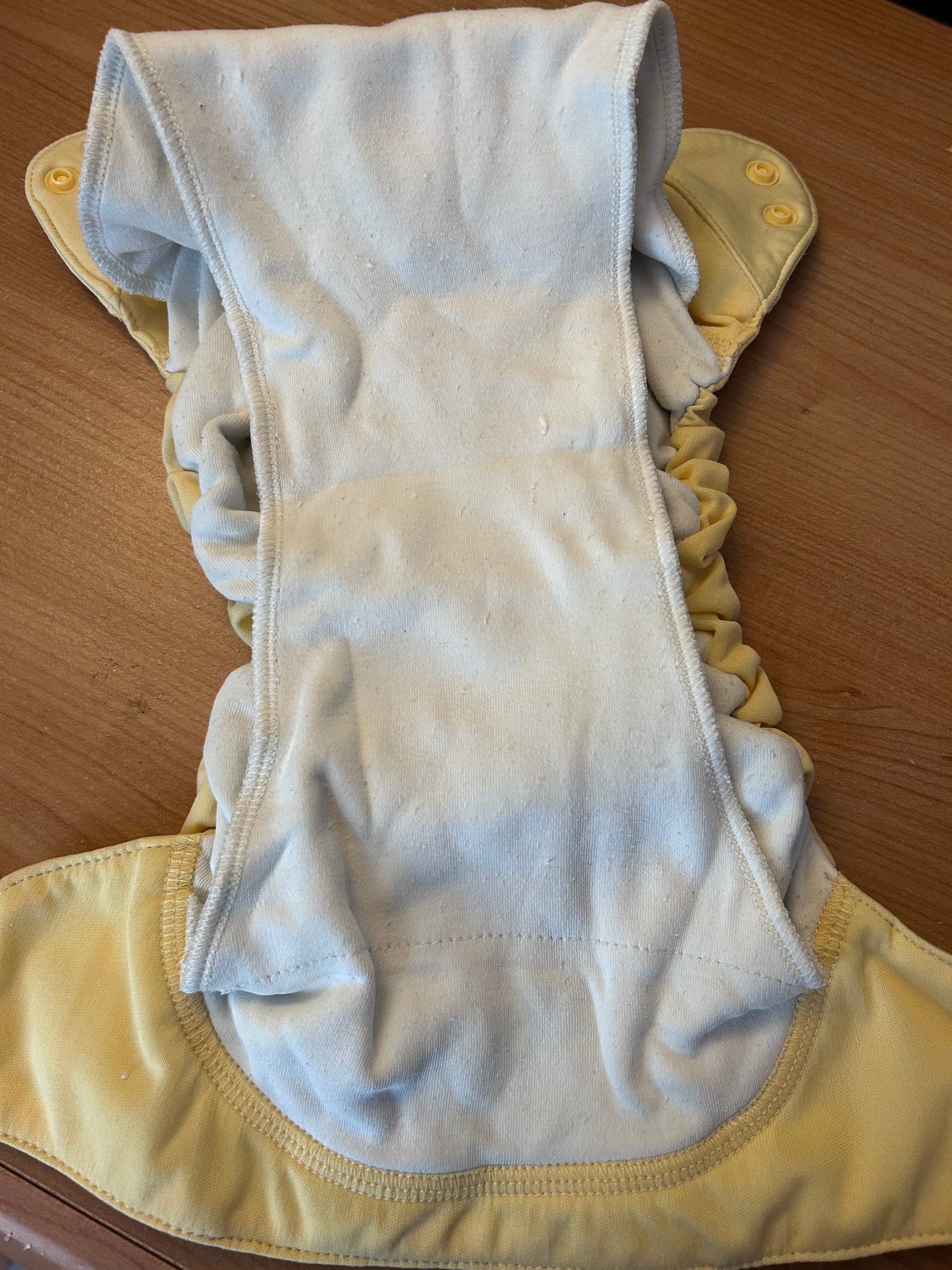 BumGenius- all in one Nappy (003)