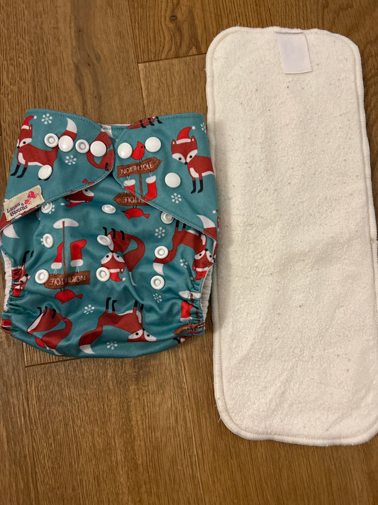 Littles and Bloomz pocket nappy (101)