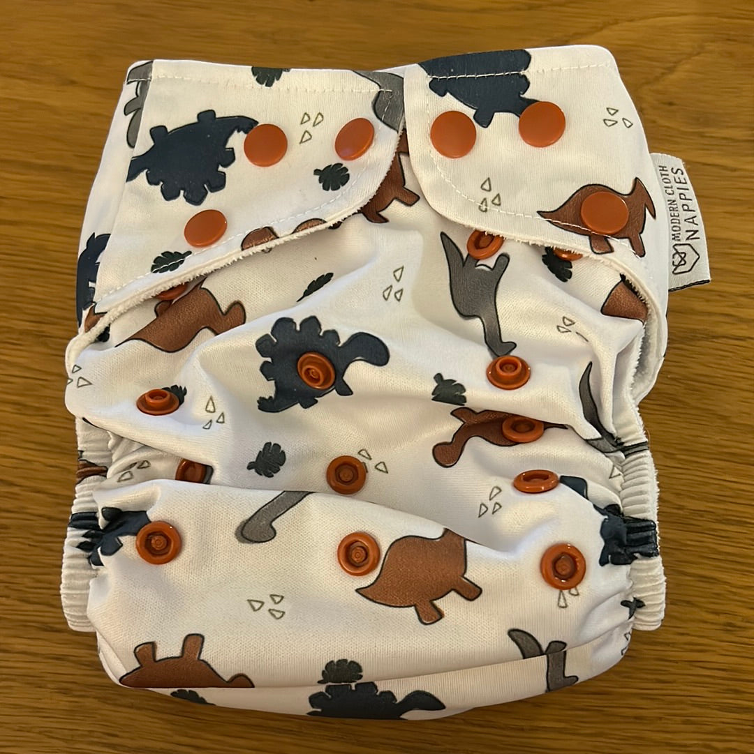 Modern cloth nappies all in one nappy (055)