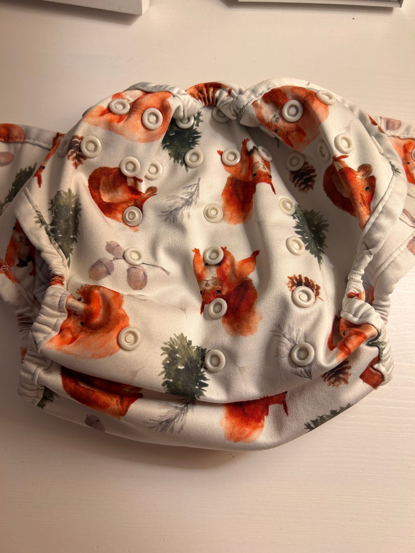 Bear Bott all in one Tencel nappy special edition squirrels (003)