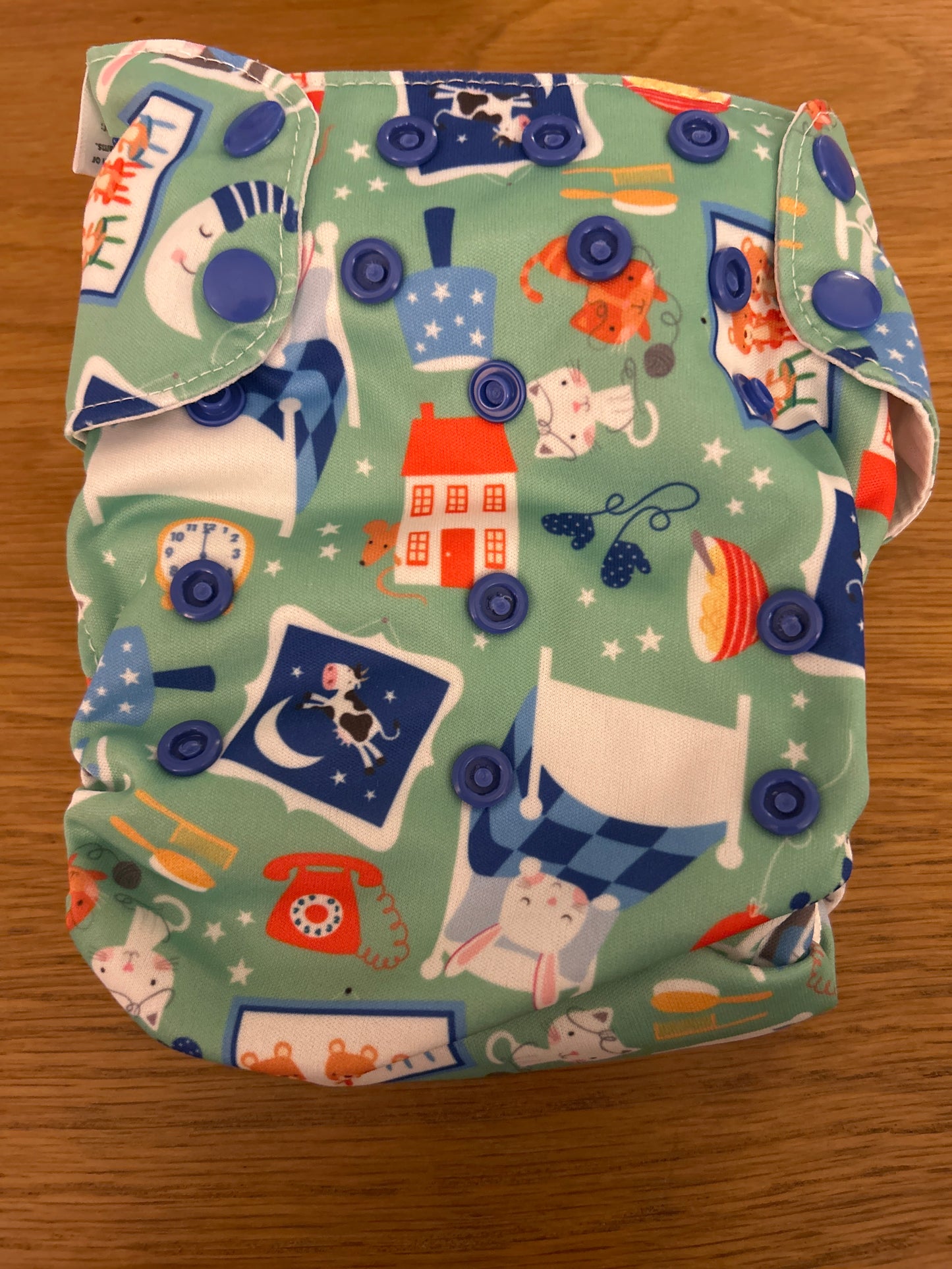 Blueberry - All In One nappy Peter Pan print (060)