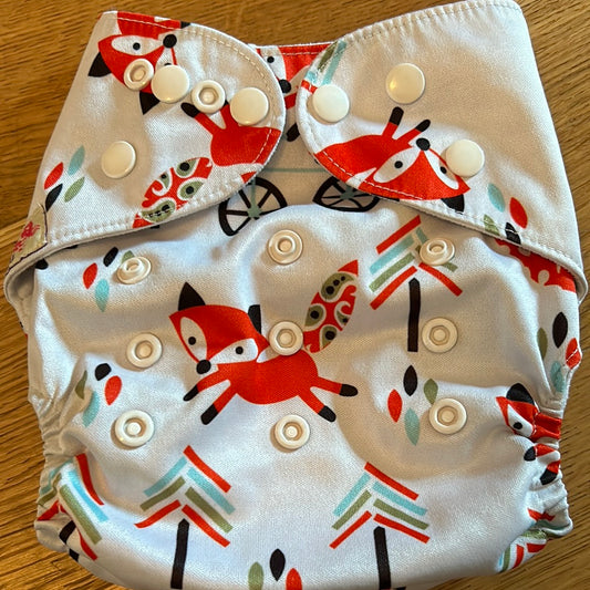 Littles & Bloomz pocket nappy (036)